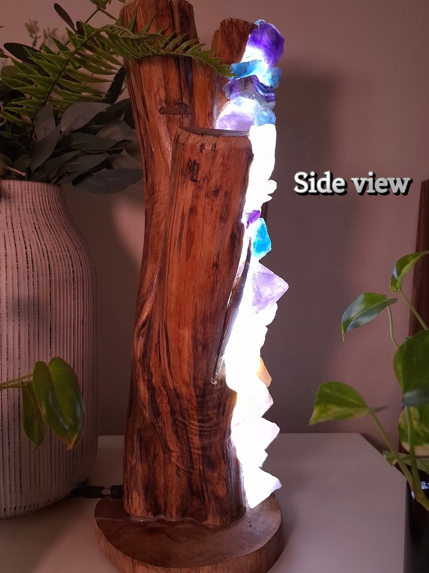 The Sacred Earth Rainbow Tree