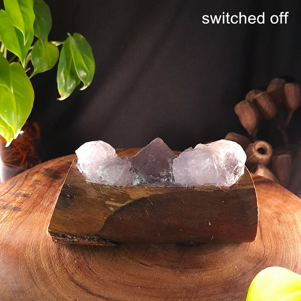 Raw Amethyst & Eucalyptus Artisan Crystal Lamp
