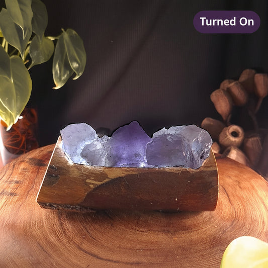 Raw Amethyst & Eucalyptus Artisan Crystal Lamp