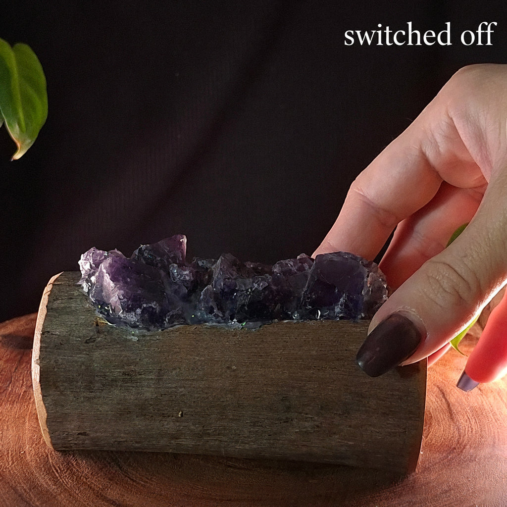 The Sovereign Amethyst Log Lamp – Authentic Cyclone Fina Timber