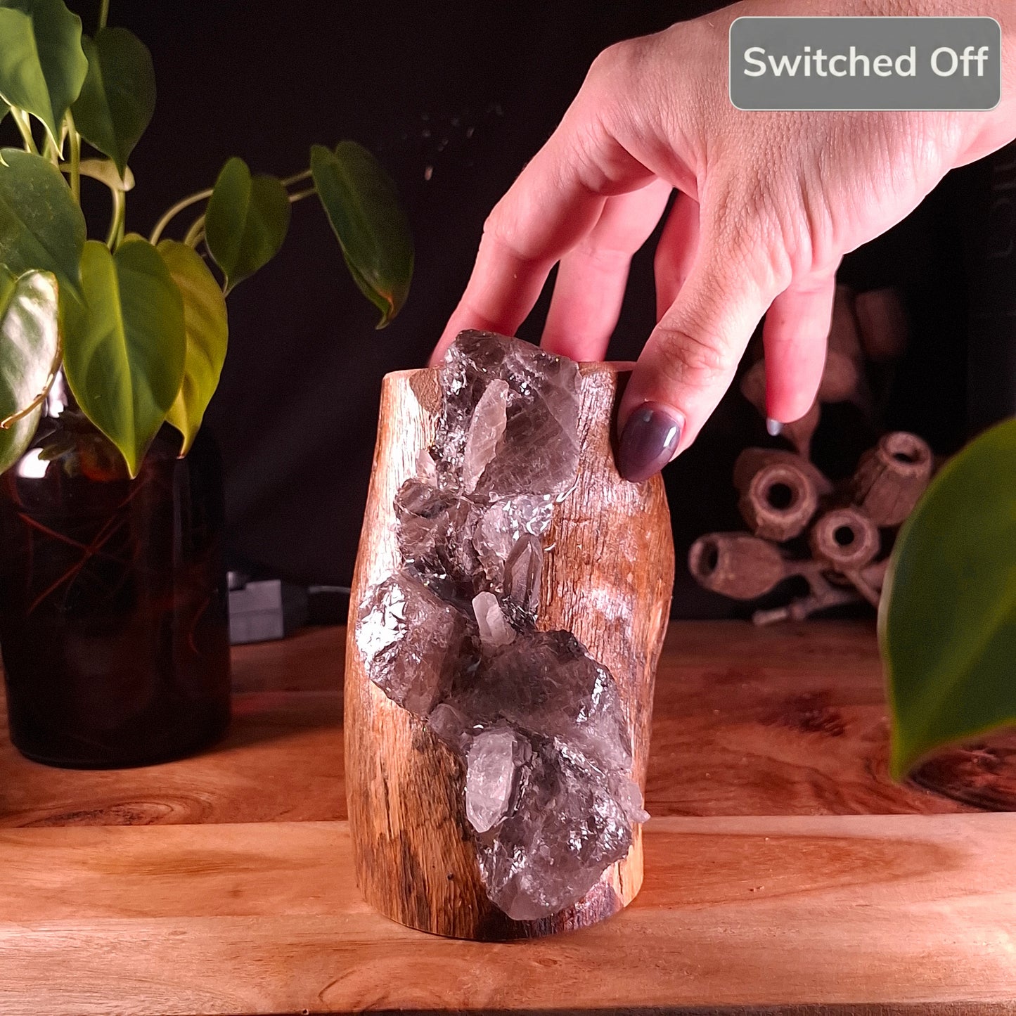 The Comforting Smoky Glow Eucalyptus Lamp