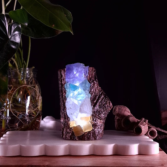 Mini 4-Stone Crystal Lamp on Cyclone Fina Timber