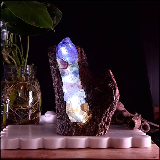 4-Stone Crystal Statement Lamp on Cyclone Fina Timber