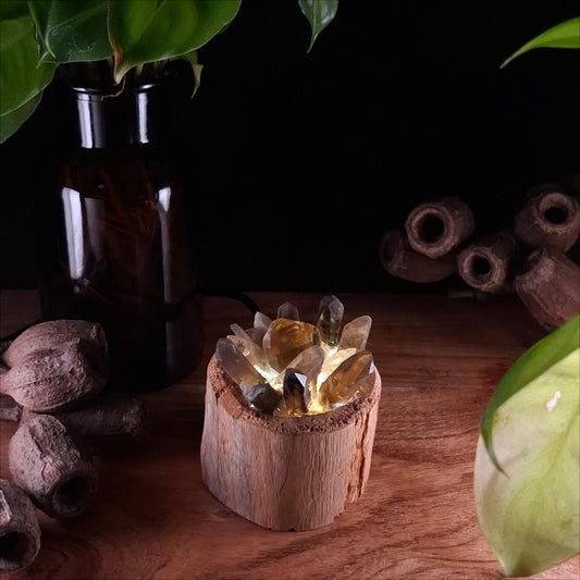 The Resilience Smoky Quartz Lamp – Authentic Cyclone Fina Timber