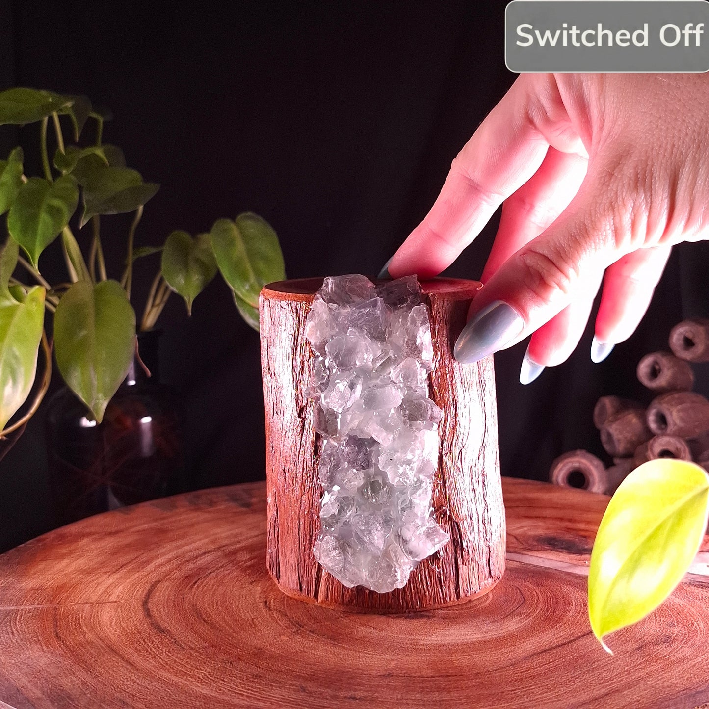 The Seafoam Fluorite & Fina Eucalyptus Lamp