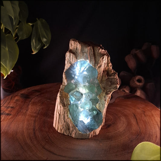 Raw Fluorite & Driftwood Artisan Crystal Lamp