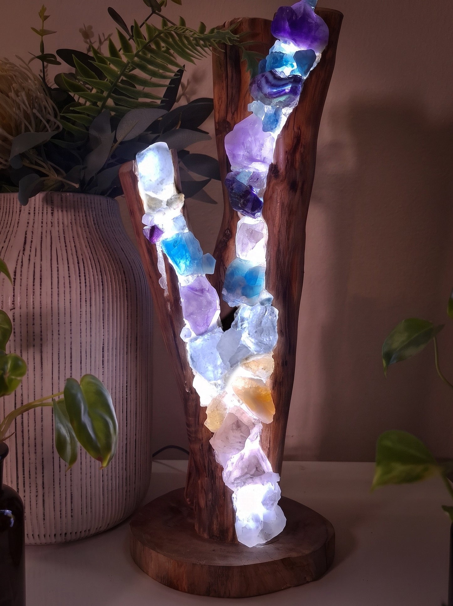 The Sacred Earth Rainbow Tree