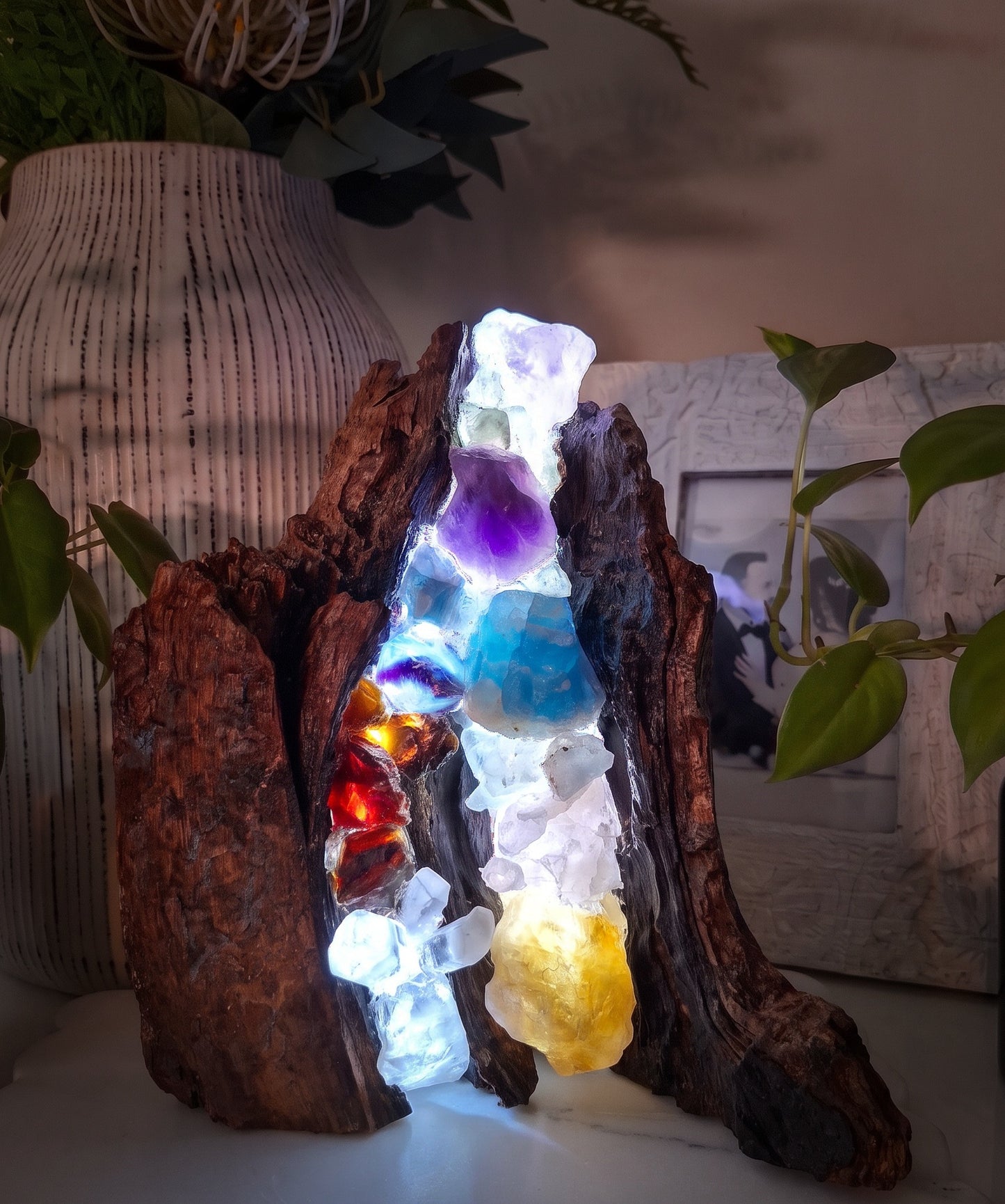 The Ancient Root Rainbow Lamp