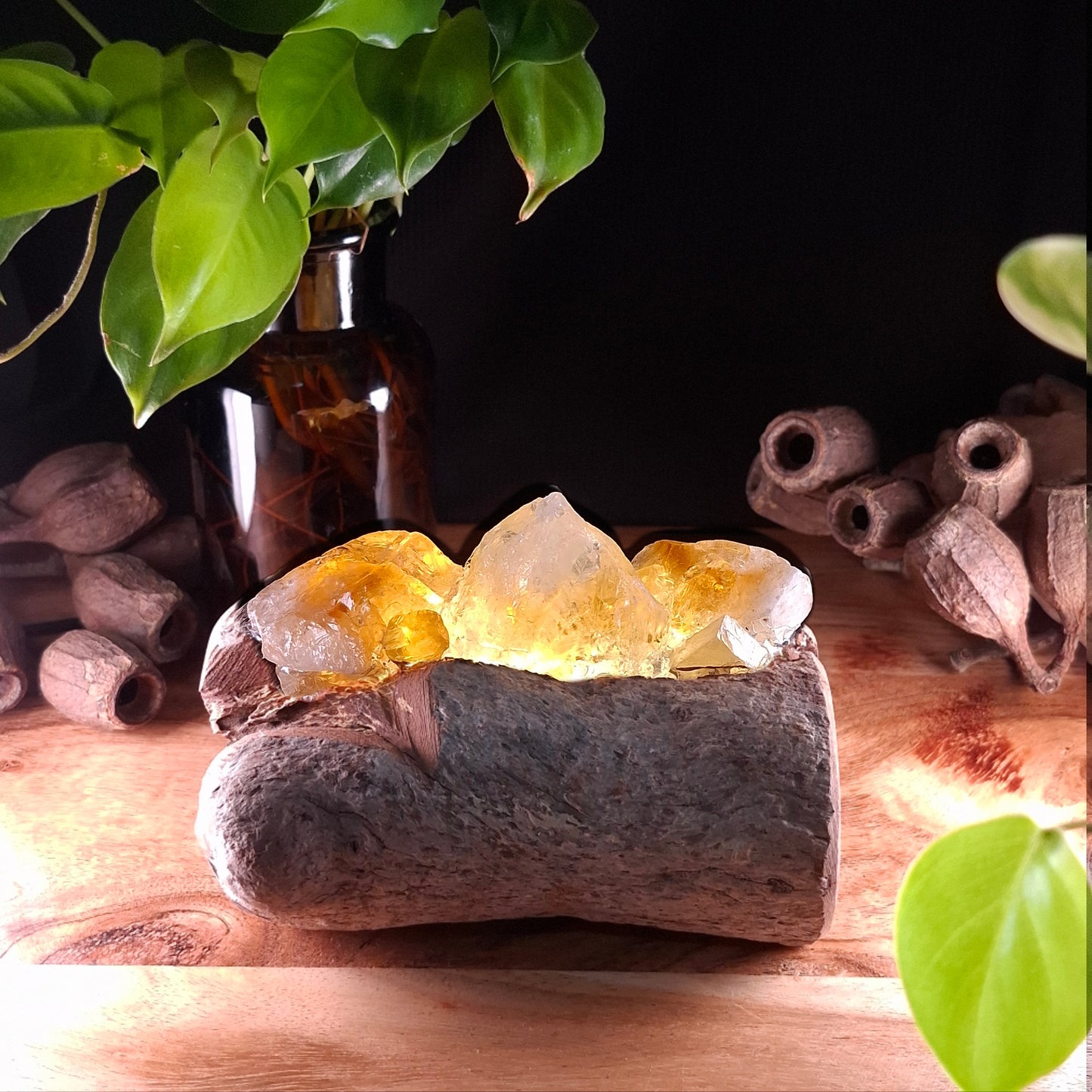 The Abundance & Vitality Mini Lamp