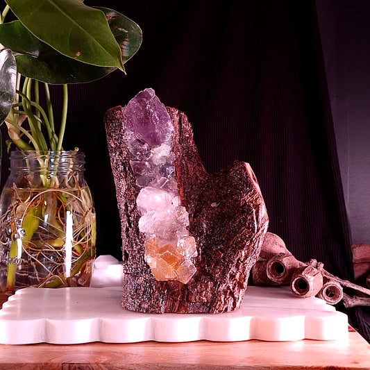 4-Stone Crystal Statement Lamp on Cyclone Fina Timber