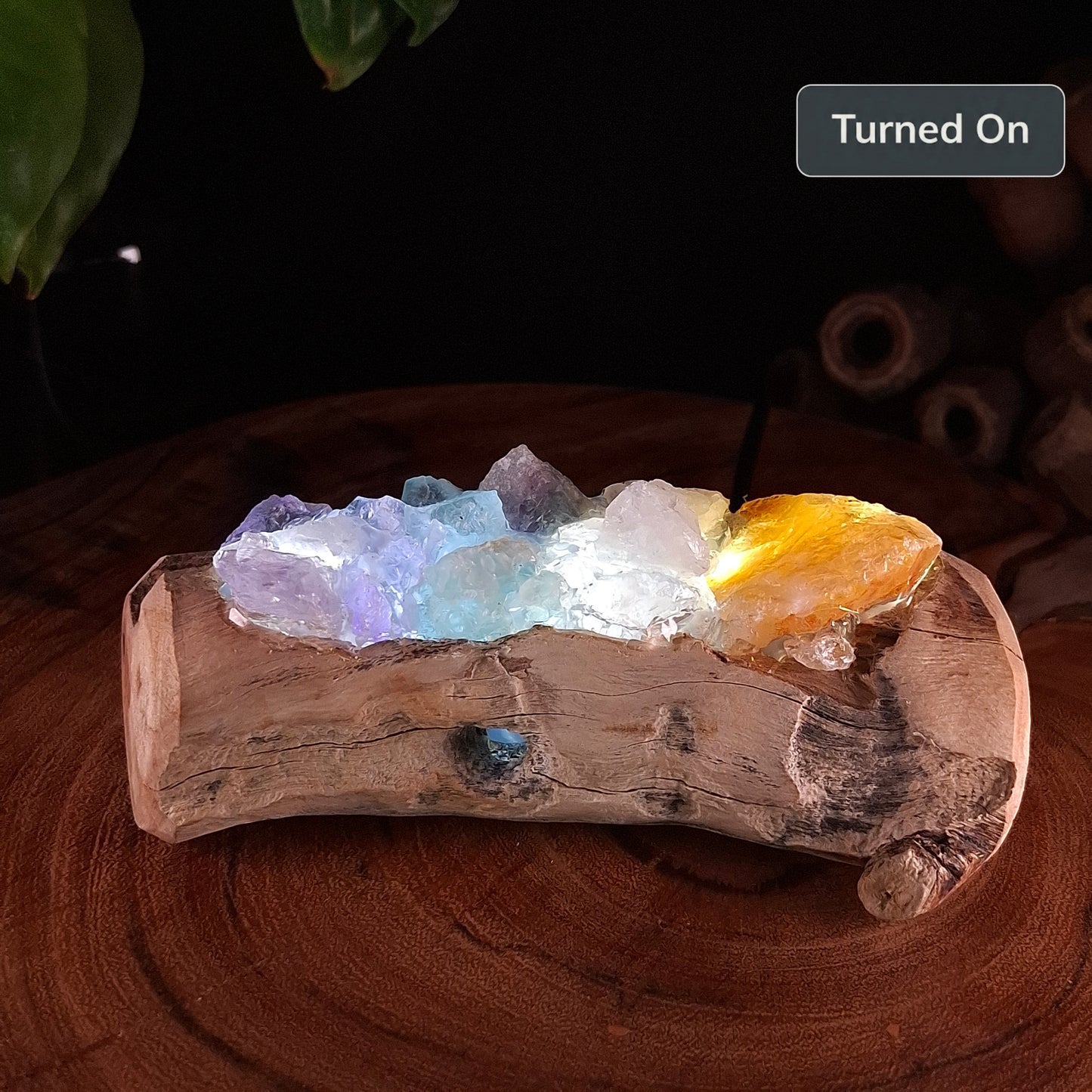 The Top End Rainbow & Mindil Driftwood Lamp
