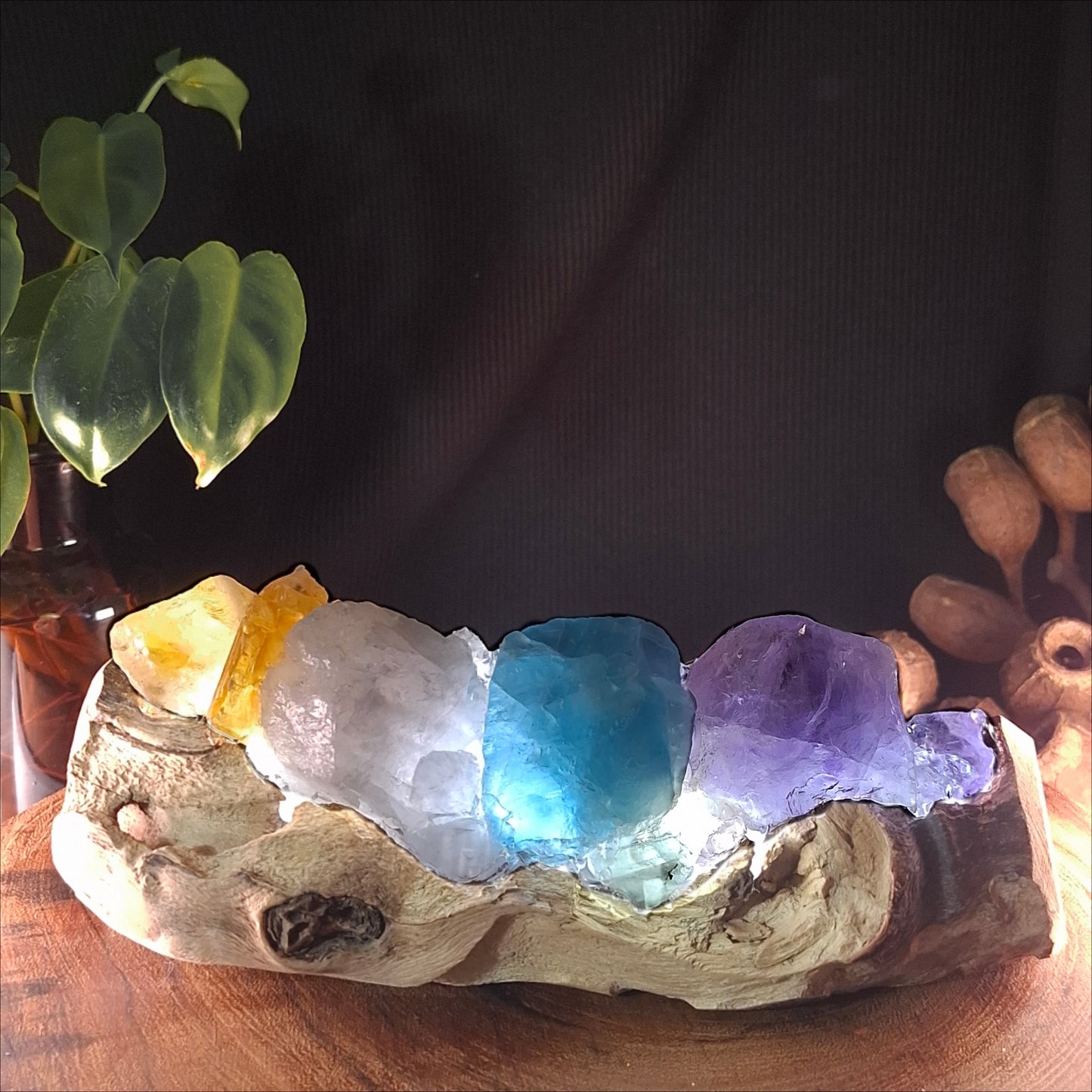 The Horizon Rainbow Lamp – Authentic Mindil Beach Driftwood