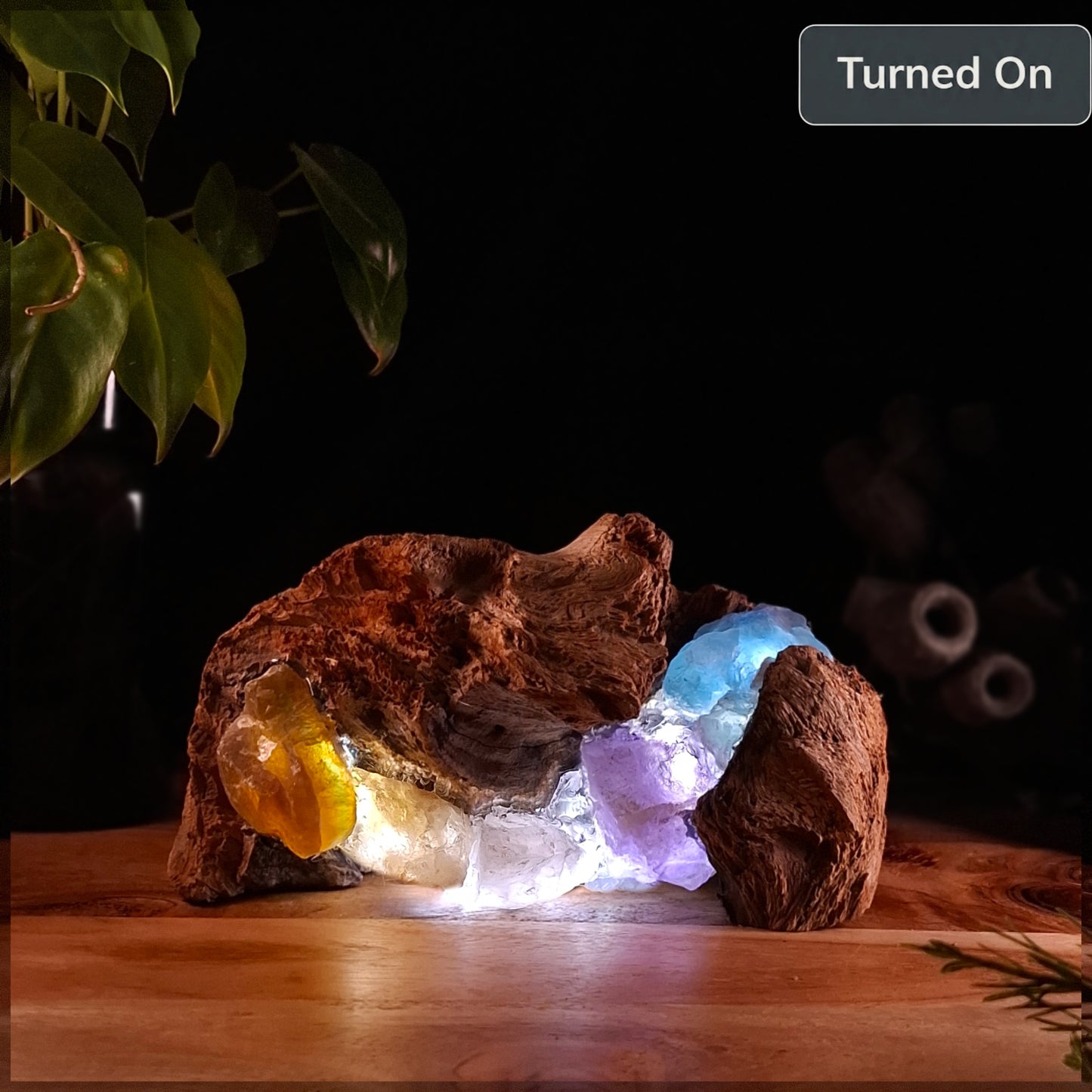 The Outback Rainbow and Eucalyptus lamp
