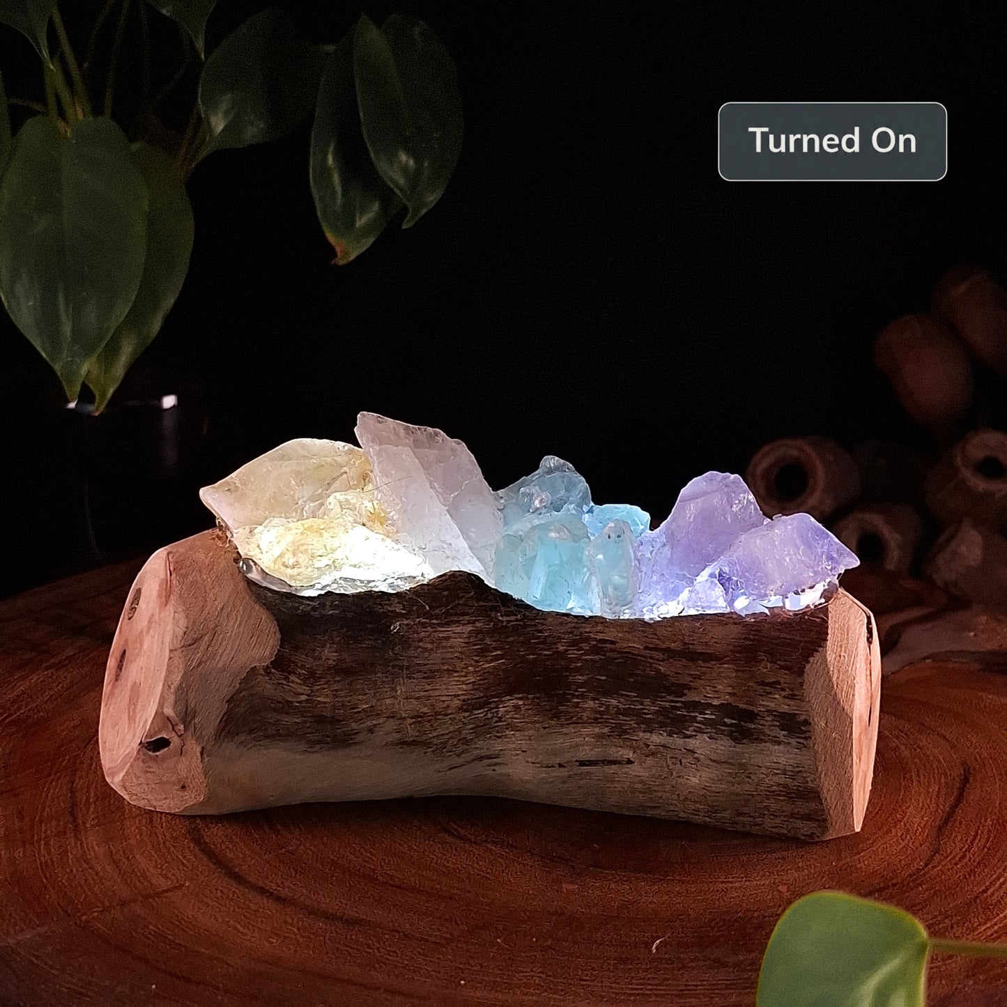 The Four-Crystal Spectrum & Mindil Beach Driftwood Lamp