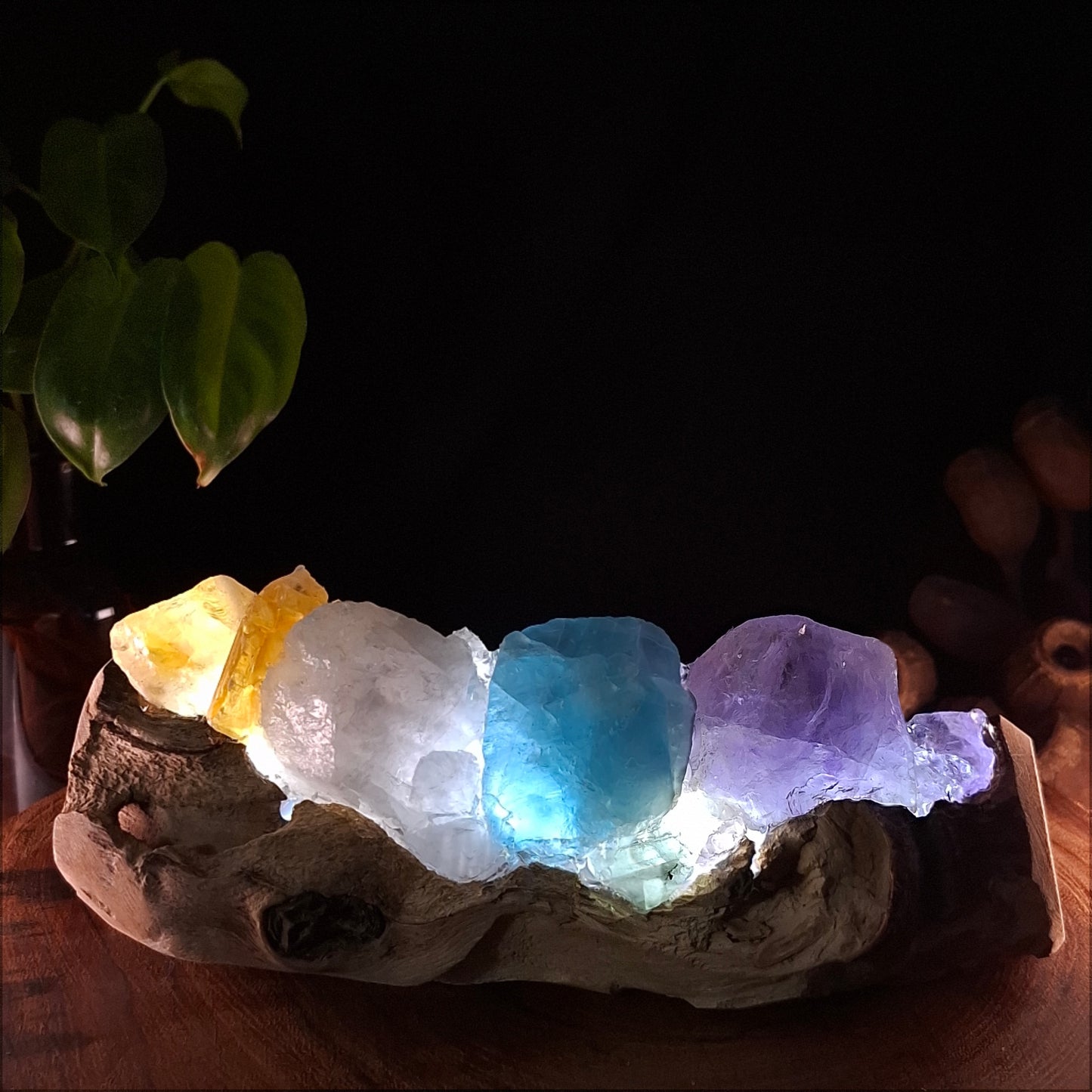 The Horizon Rainbow Lamp – Authentic Mindil Beach Driftwood