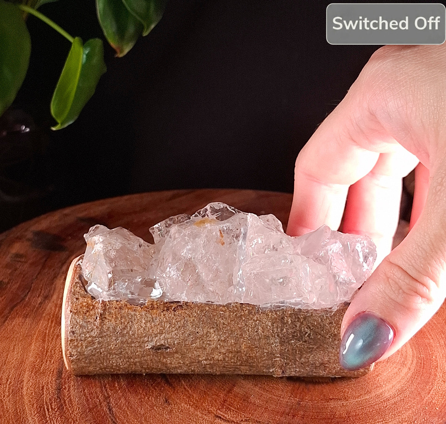 The Fina Mahogany & Icy Quartz Lamp