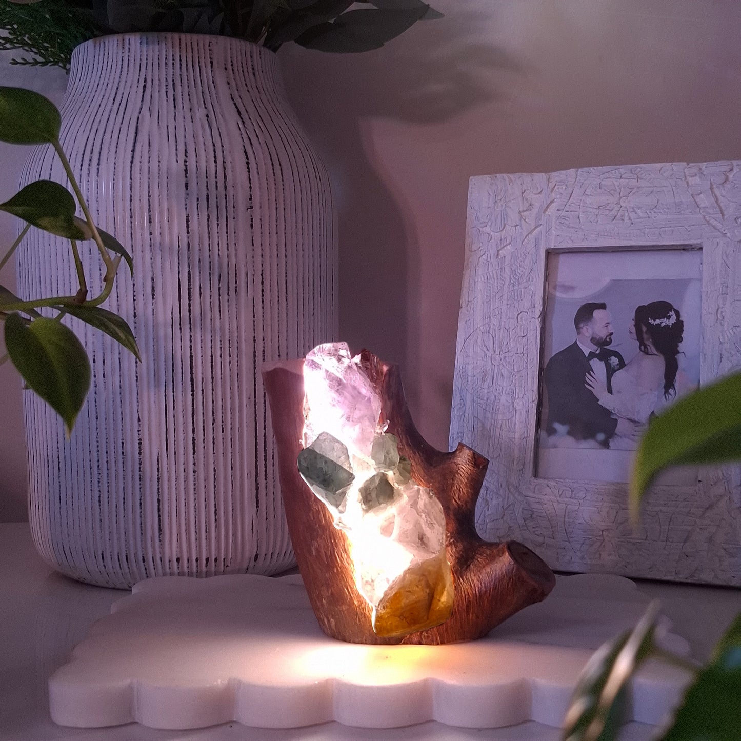 The Rainbow Fina Eucalyptus Branch Lamp