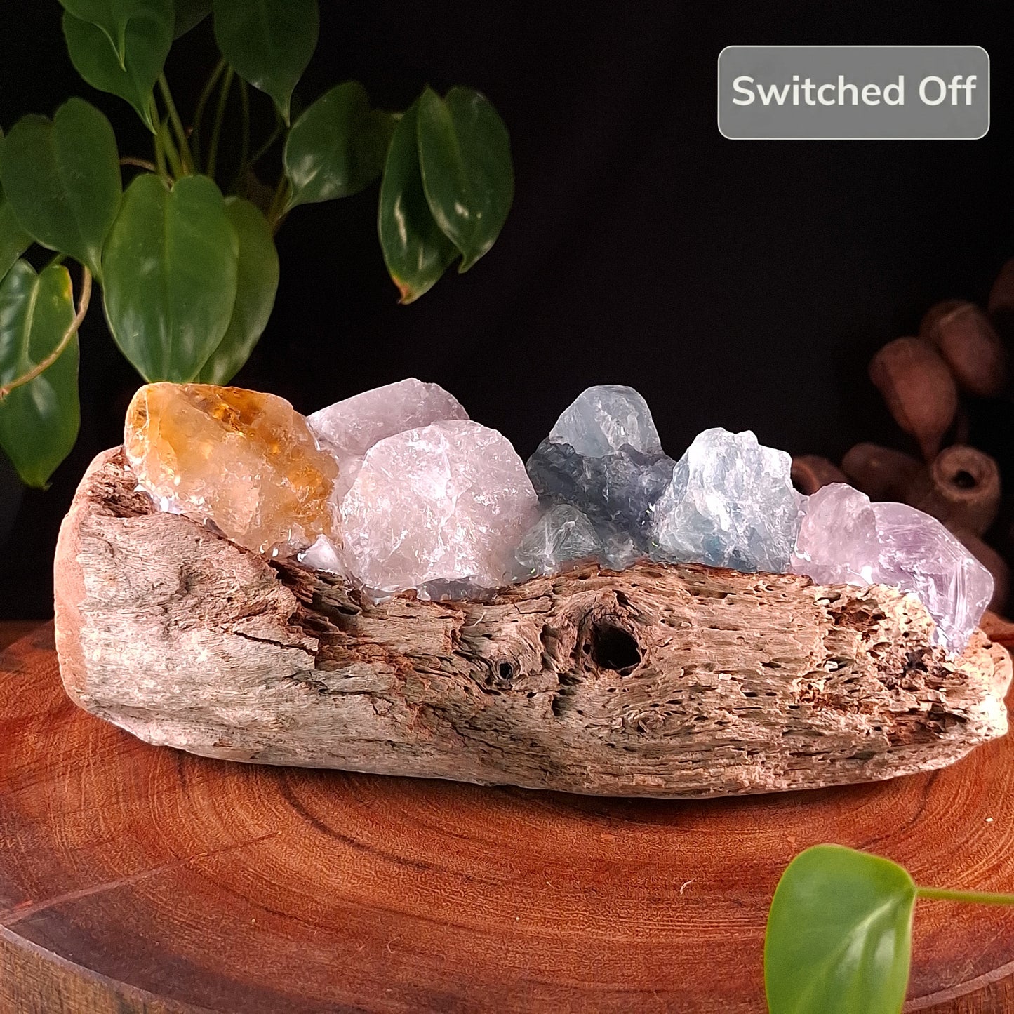 The Mindil Horizon Driftwood Crystal Lamp