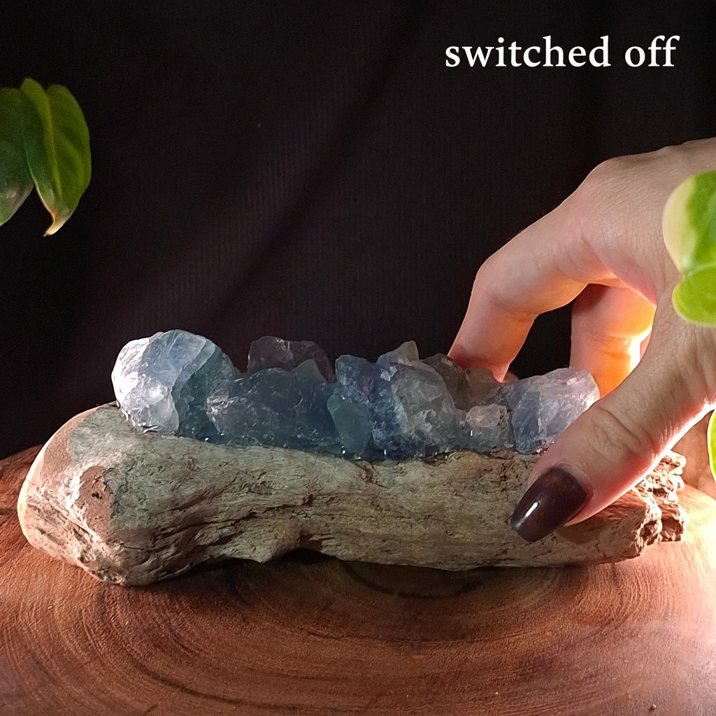 The Ocean Ridge Fluorite Lamp – Hand-Picked Mindil Timber