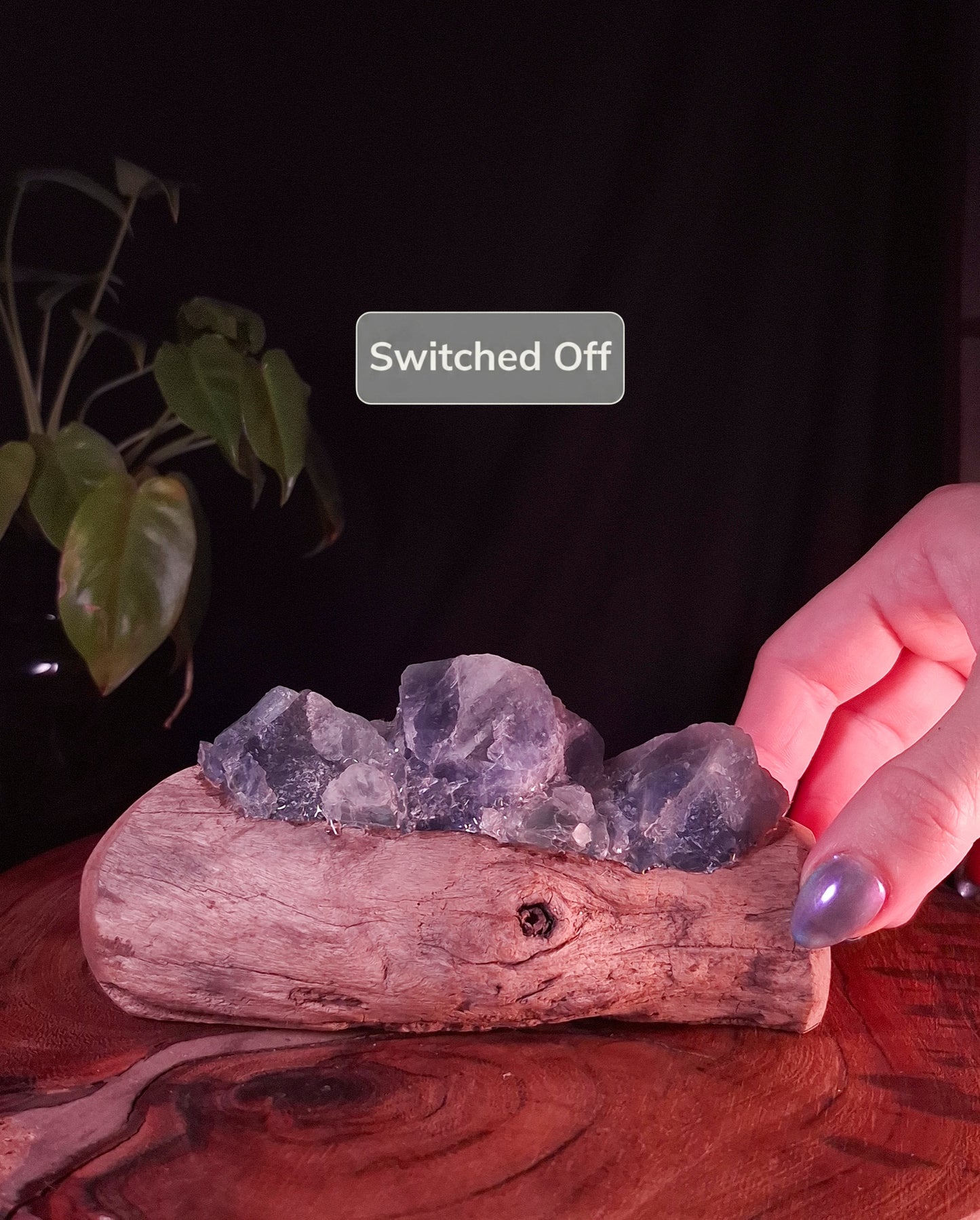 The Mindil Beach Ocean Lamp