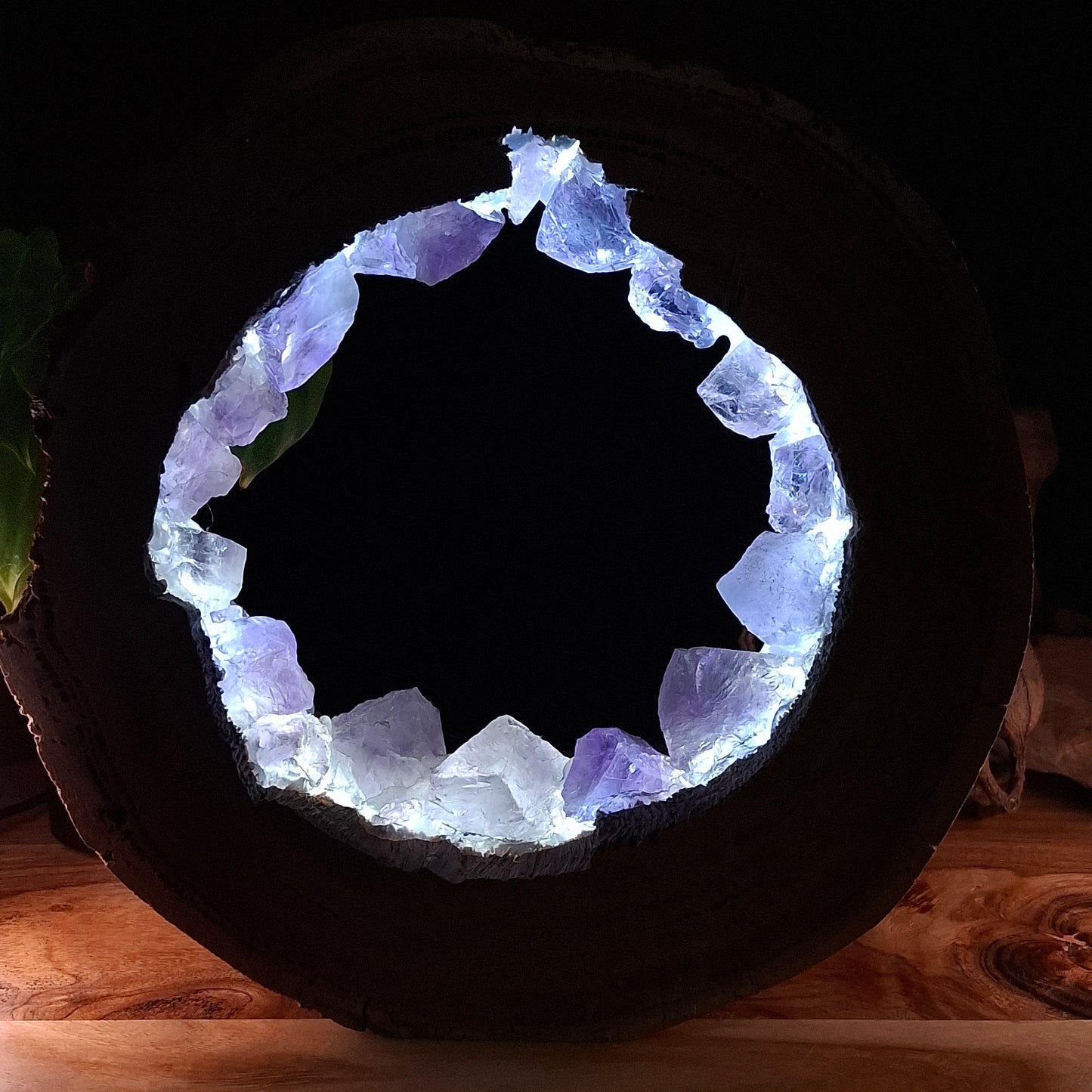 zThe Amethyst Portal Lamp – Termite-Hollowed Eucalyptus