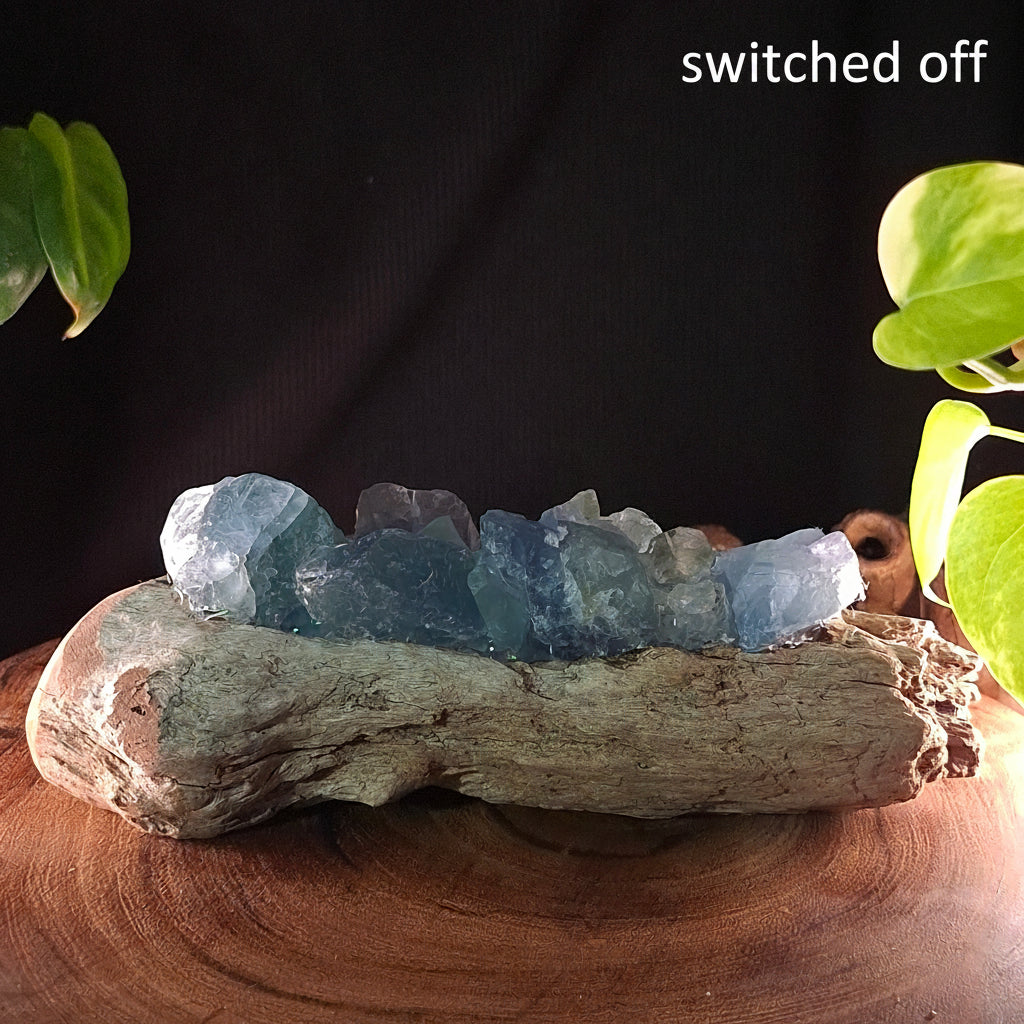The Ocean Ridge Fluorite Lamp – Hand-Picked Mindil Timber