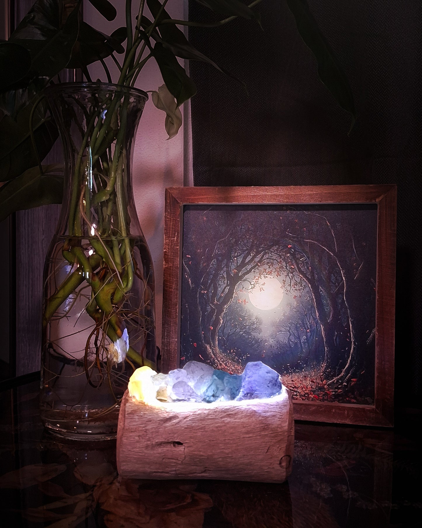 The Sunbleached Mindil Driftwood Rainbow Lamp