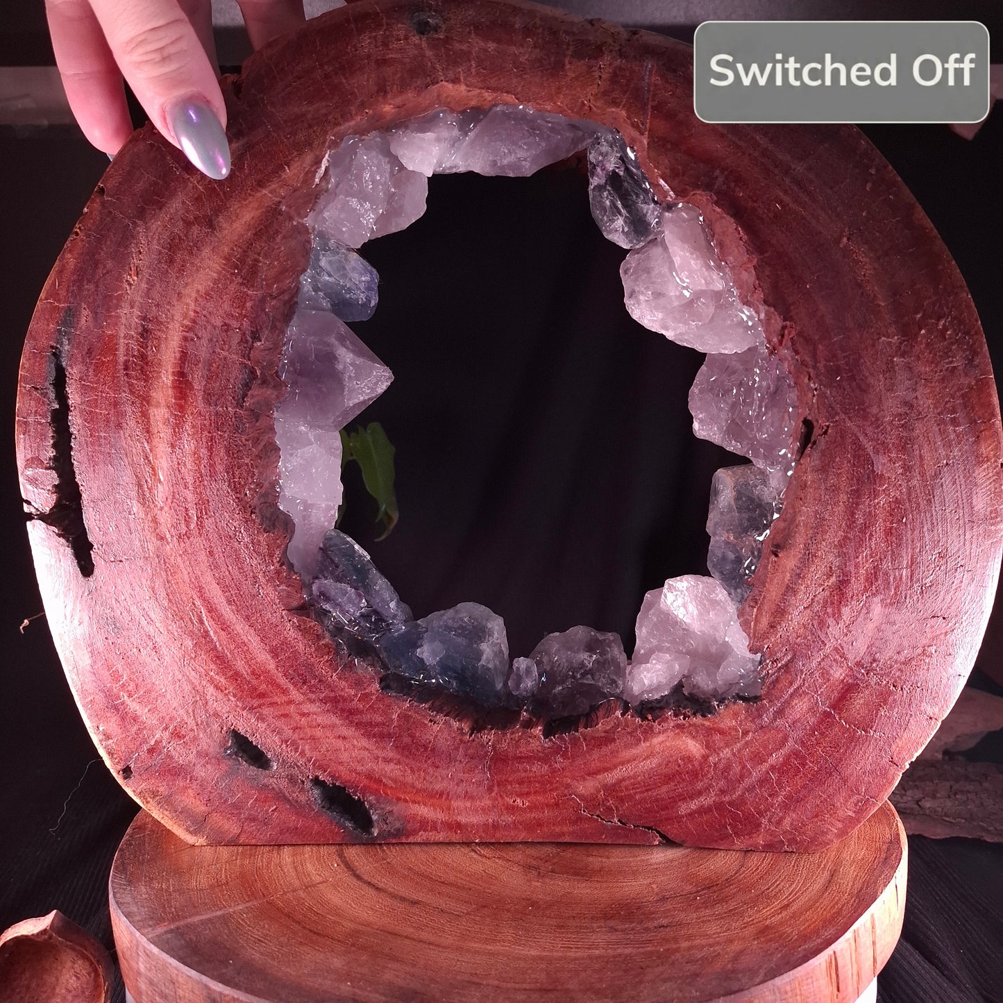 The Peace and Protection Eucalyptus Portal Lamp