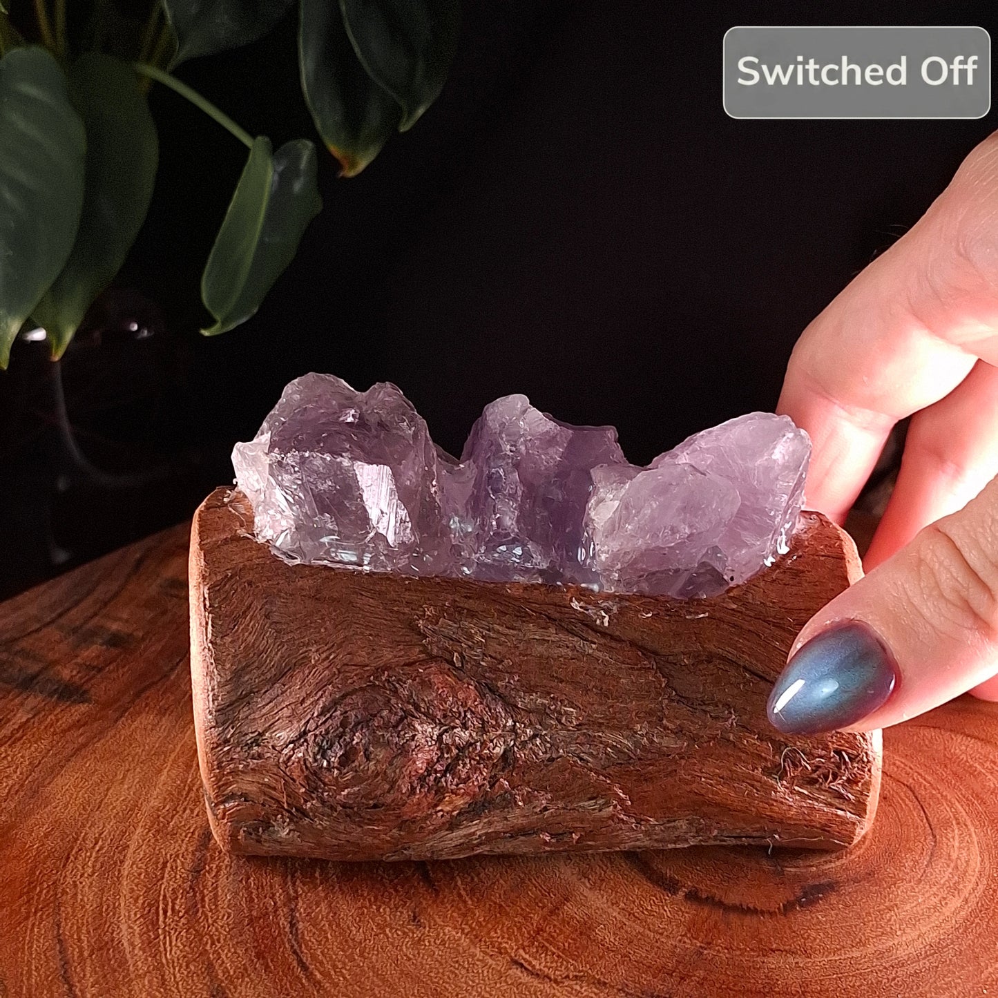 The Humpty Doo Heritage Amethyst & Eucalyptus Lamp