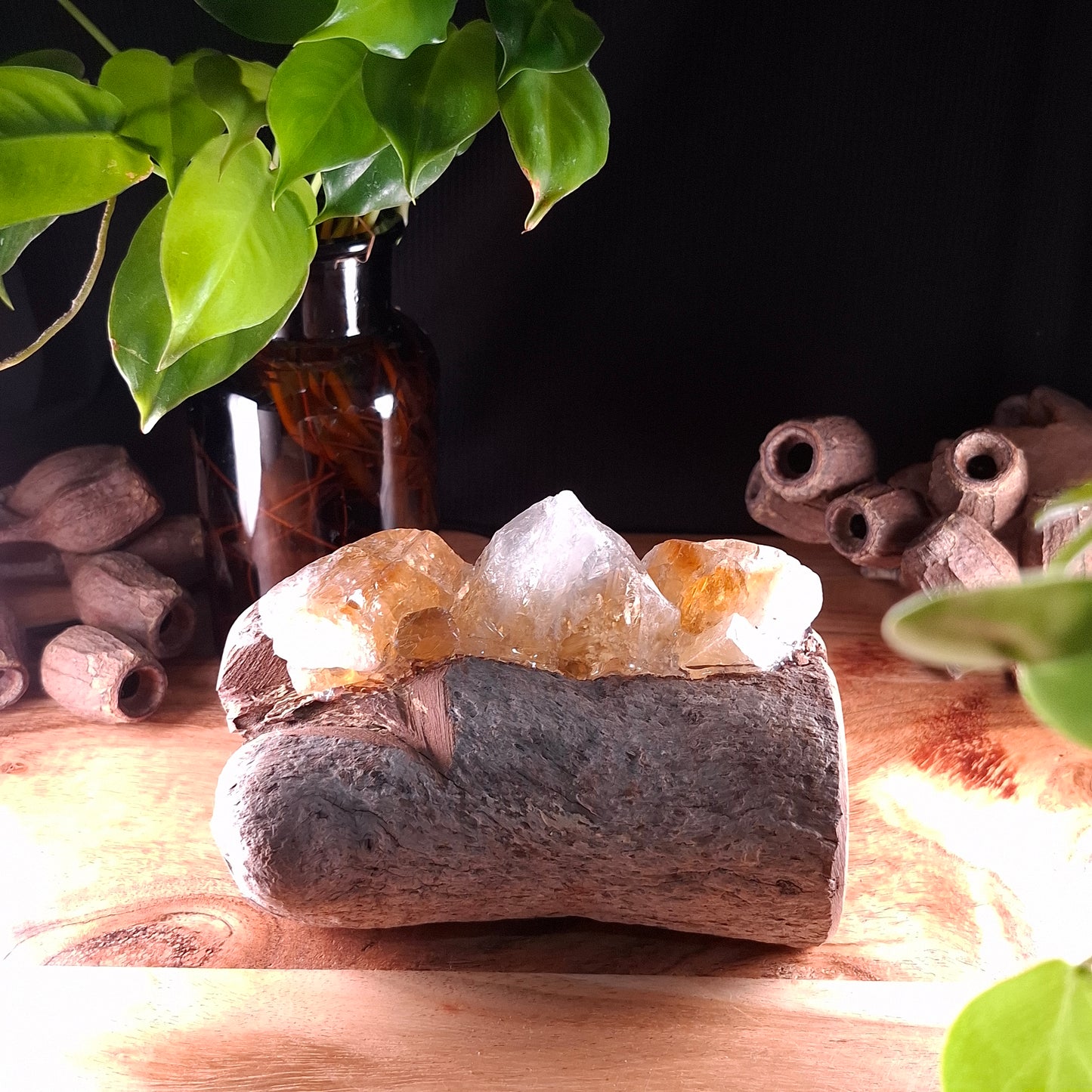 The Abundance & Vitality Mini Lamp