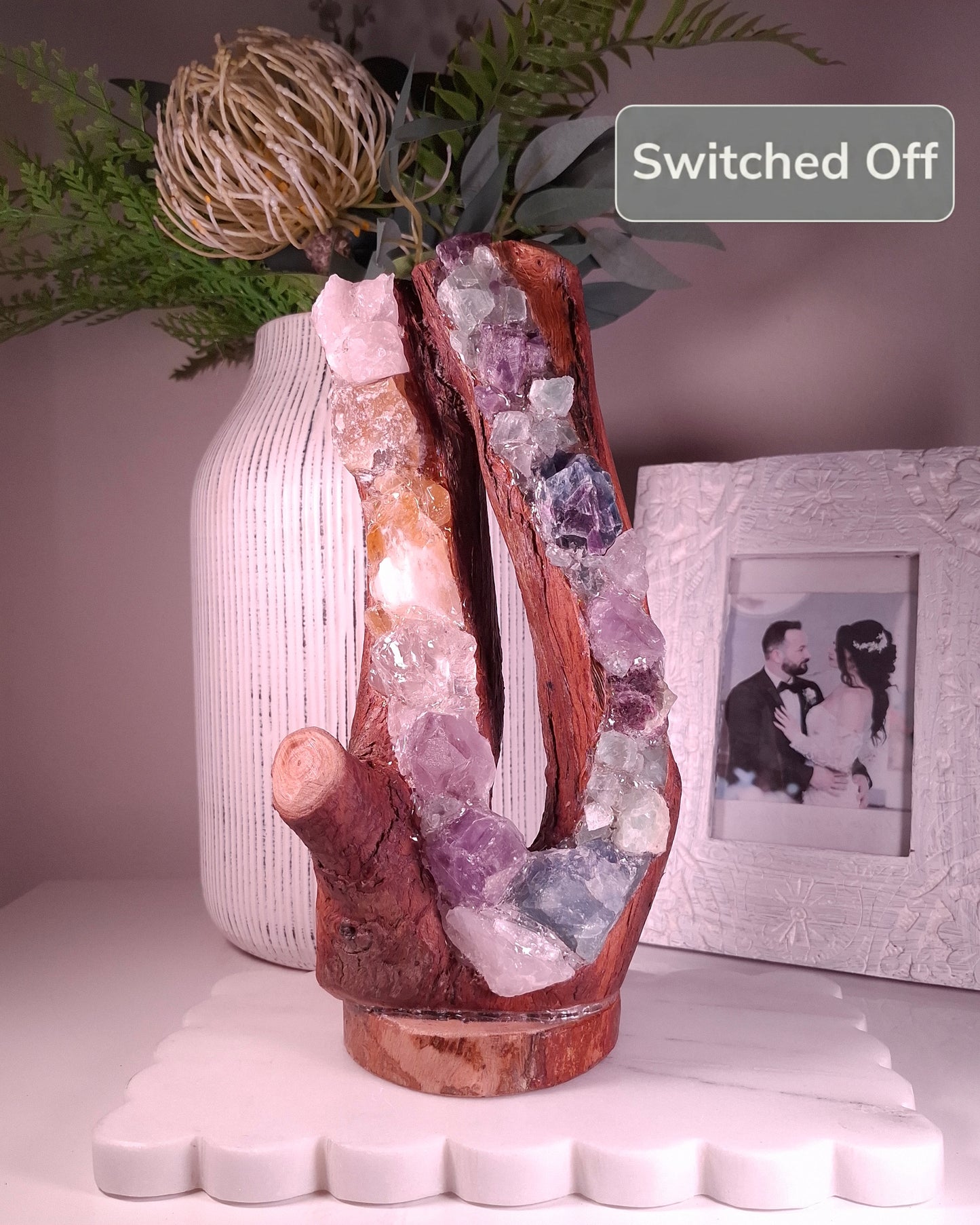 The Humpty Doo Eternal Lovers Eucalyptus Rainbow Lamp