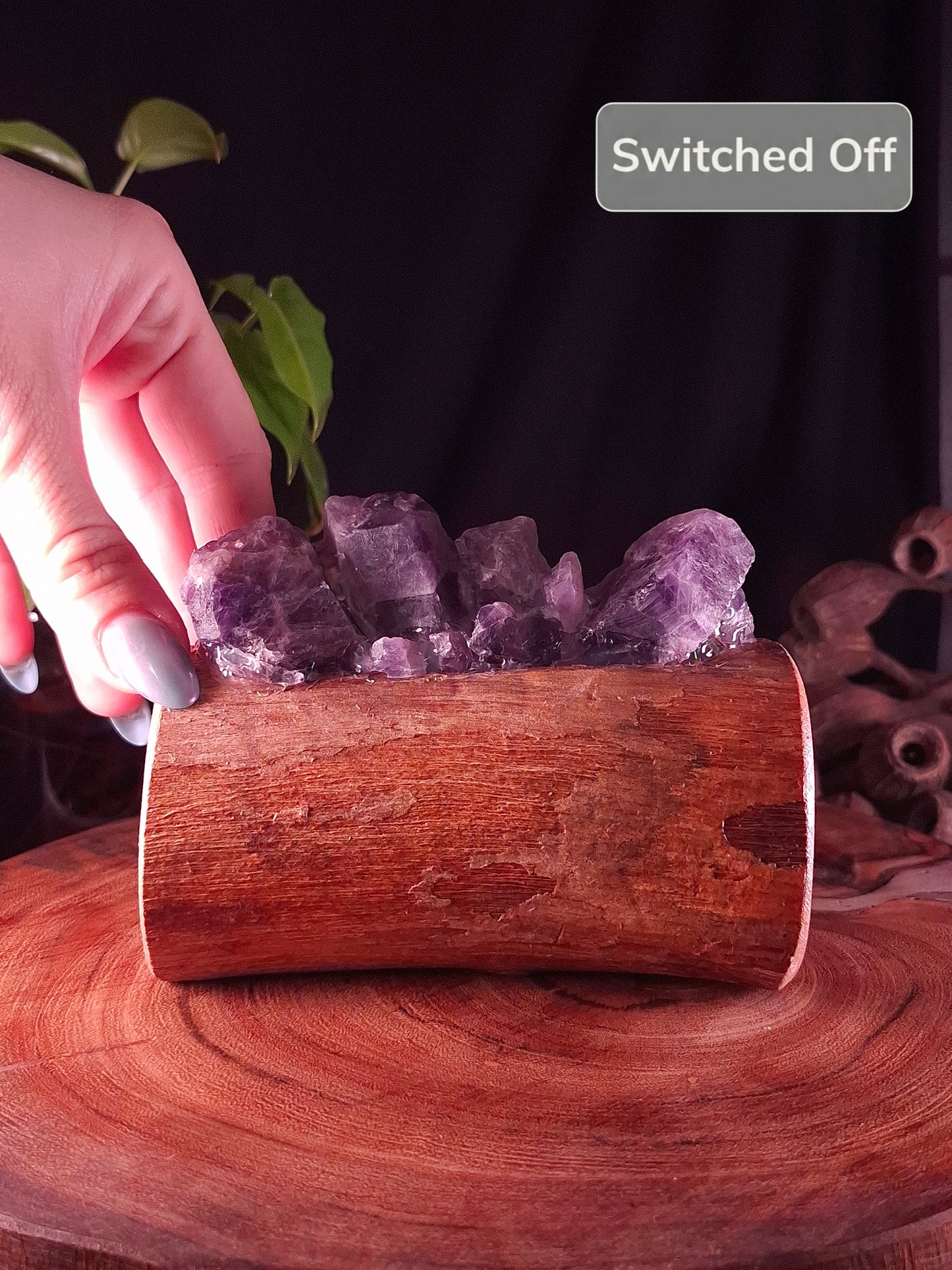 The Cyclone Fina Dark Amethyst Petit Lamp
