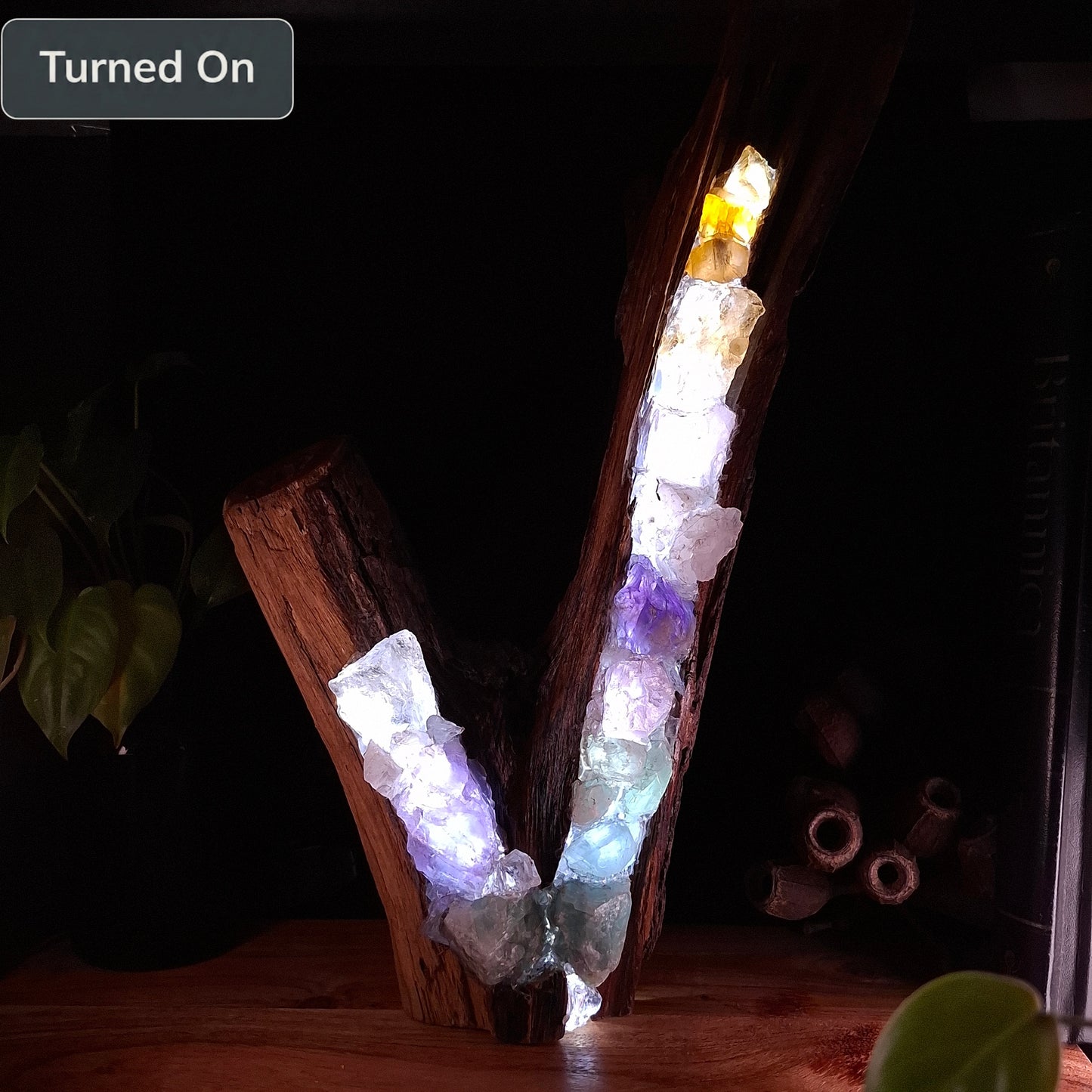 The Top End V-Branch Rainbow Lamp