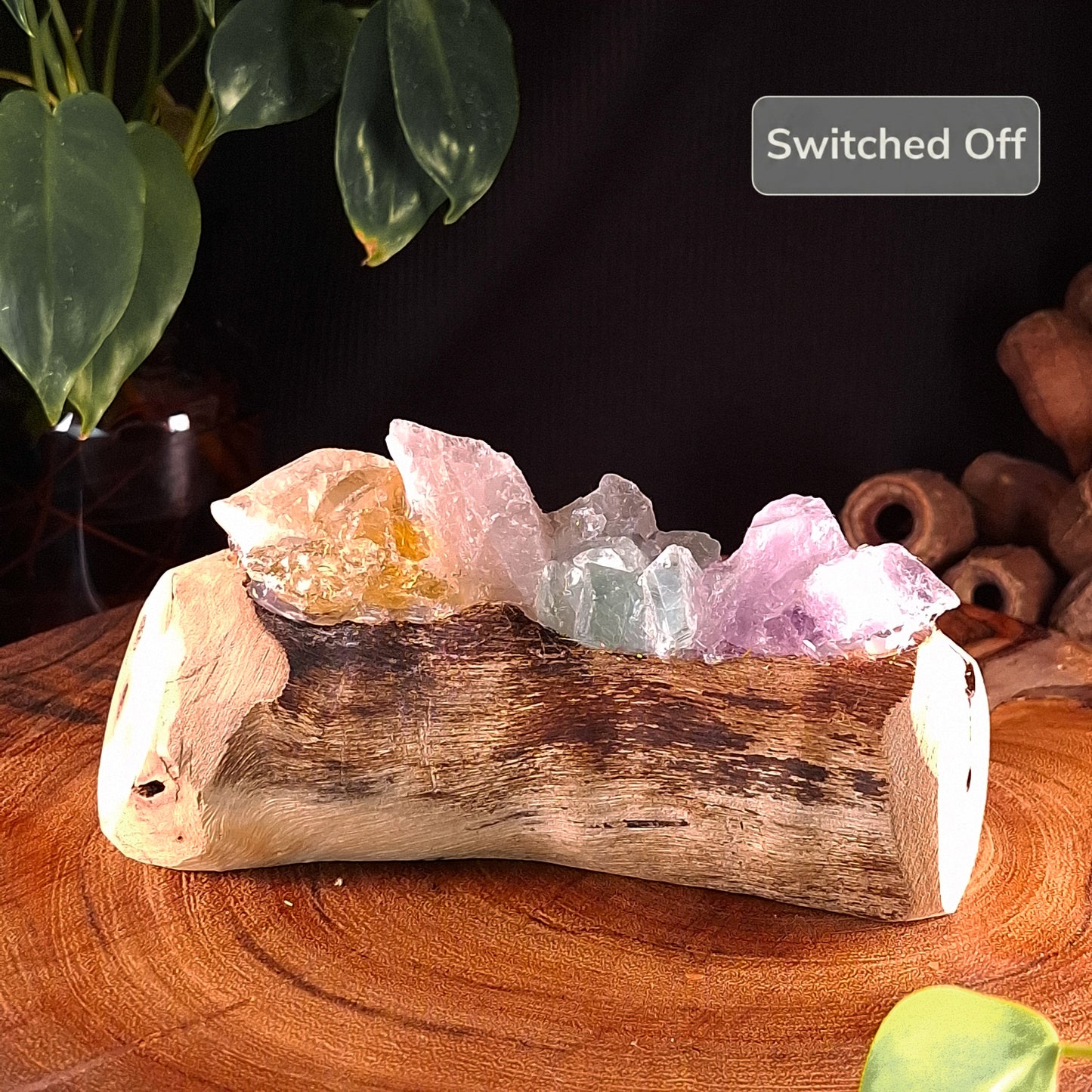 The Four-Crystal Spectrum & Mindil Beach Driftwood Lamp