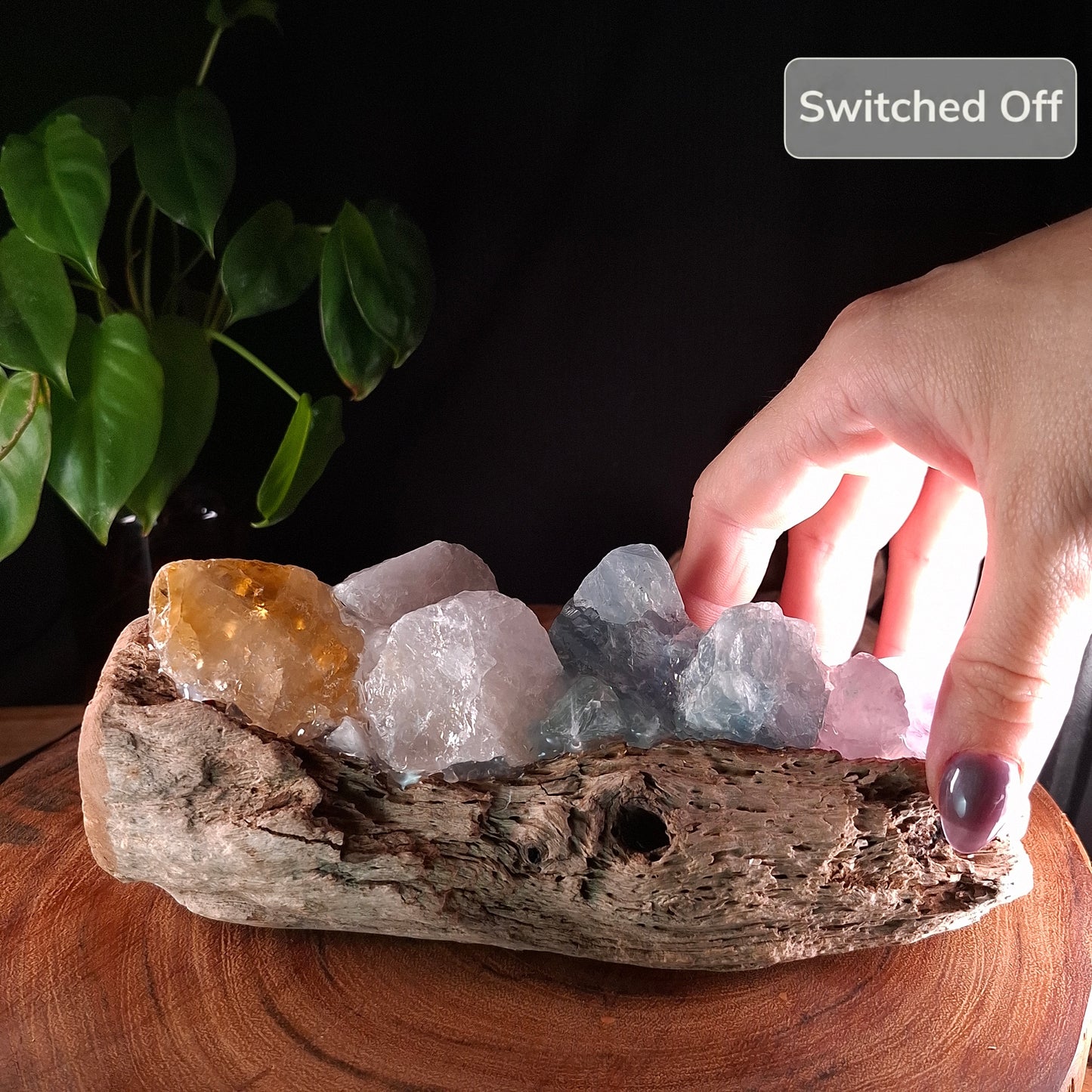 The Mindil Horizon Driftwood Crystal Lamp