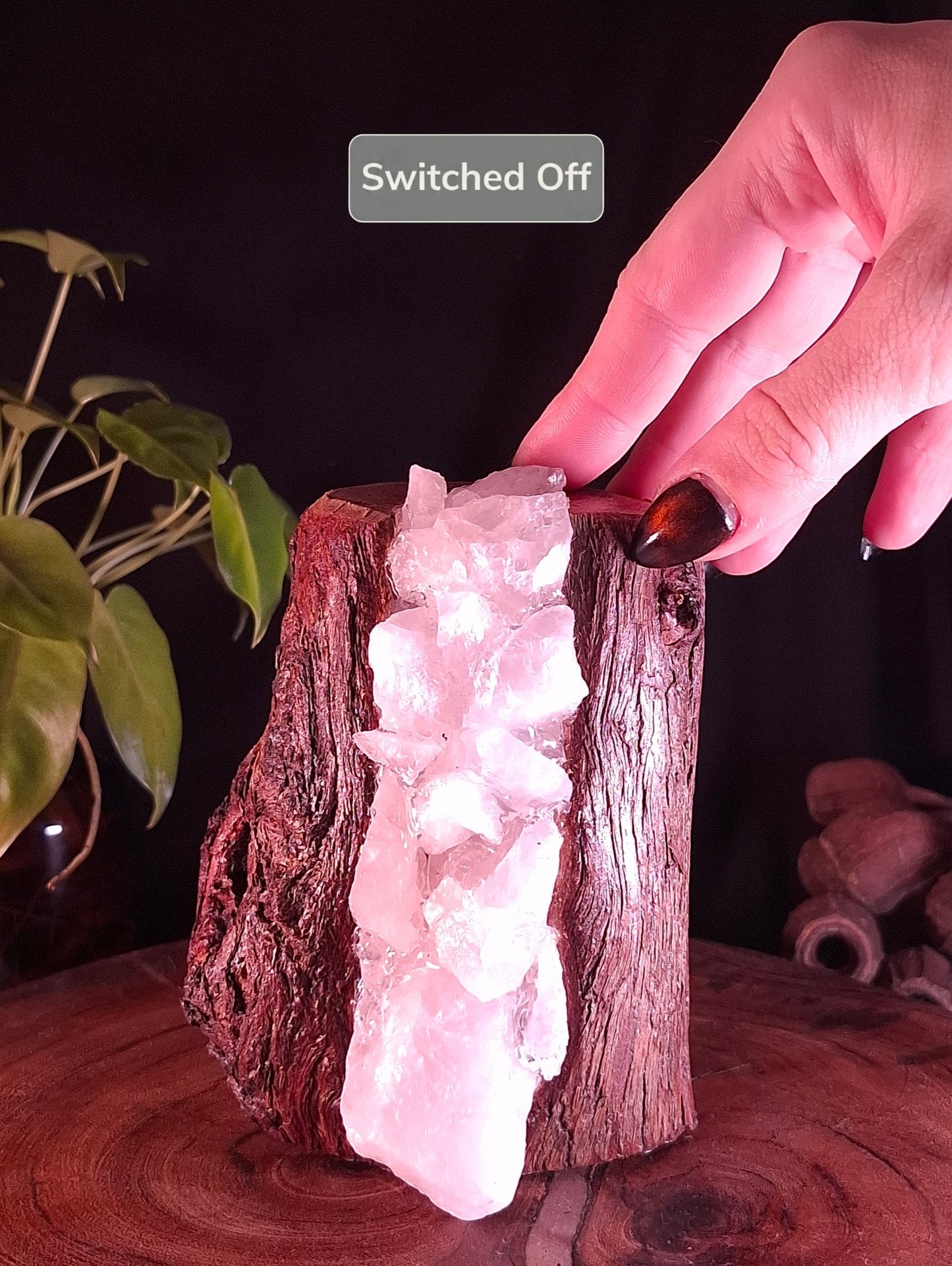 The Earthly Love Lamp