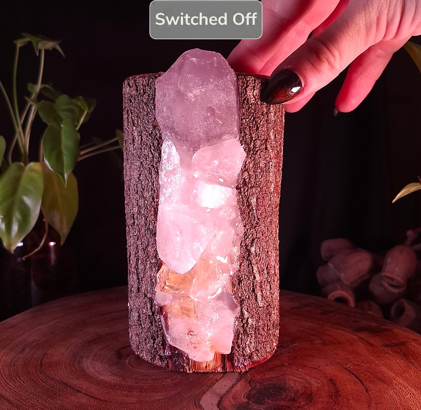 The Raintree at the Gardens Warm Rainbow Lamp
