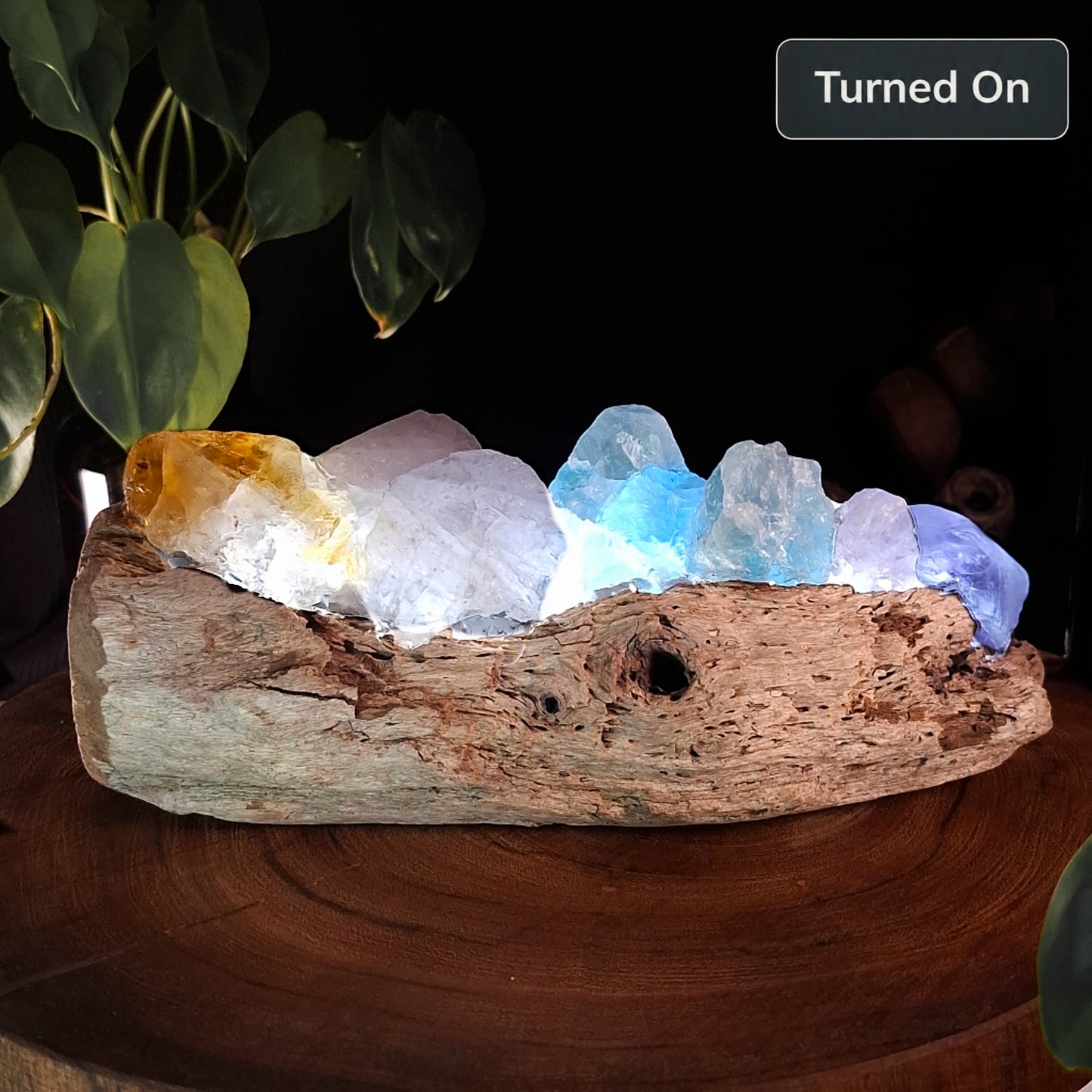 The Mindil Horizon Driftwood Crystal Lamp