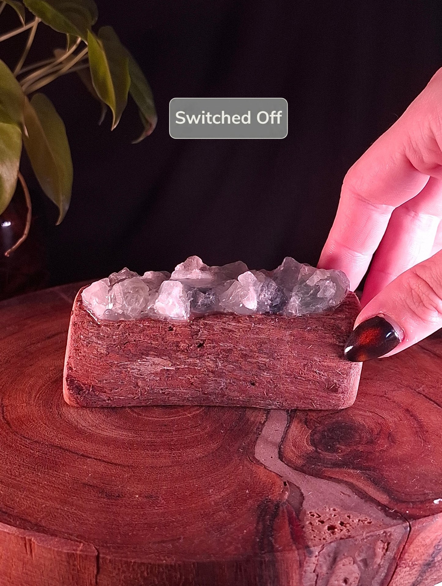 The Earth & Seafoam Eucalyptus Lamp