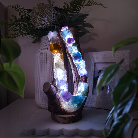 The Humpty Doo Eternal Lovers Eucalyptus Rainbow Lamp