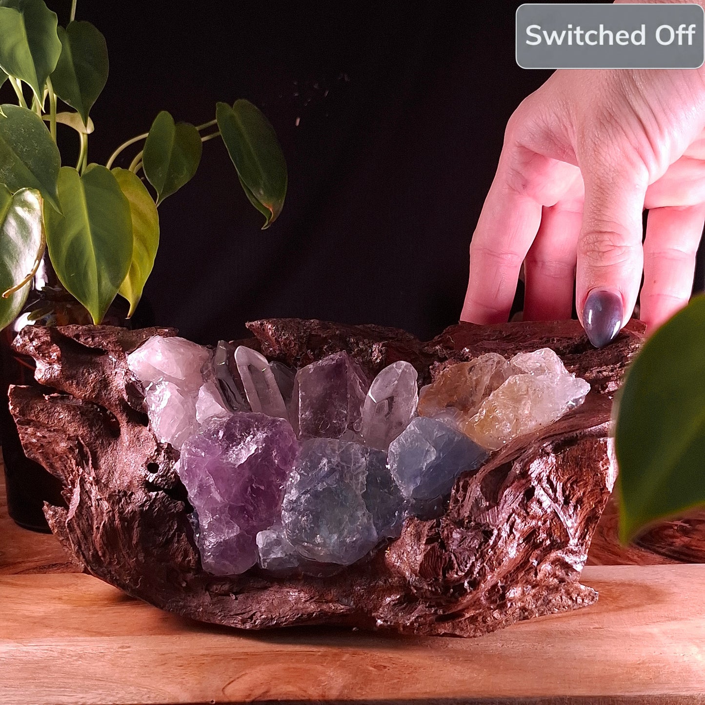 The Outback Eucalyptus Rainbow Crystal Basin lamp