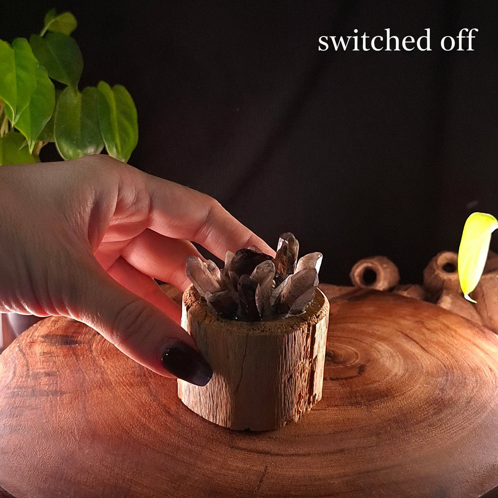 The Resilience Smoky Quartz Lamp – Authentic Cyclone Fina Timber
