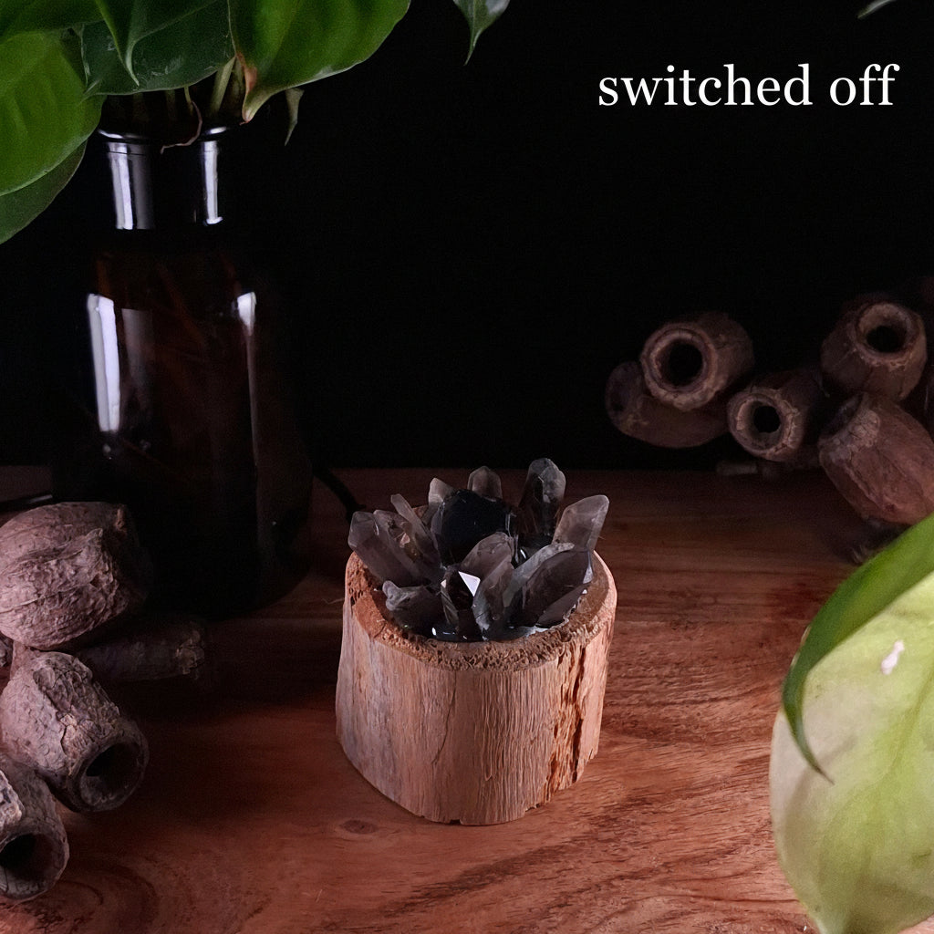 The Resilience Smoky Quartz Lamp – Authentic Cyclone Fina Timber