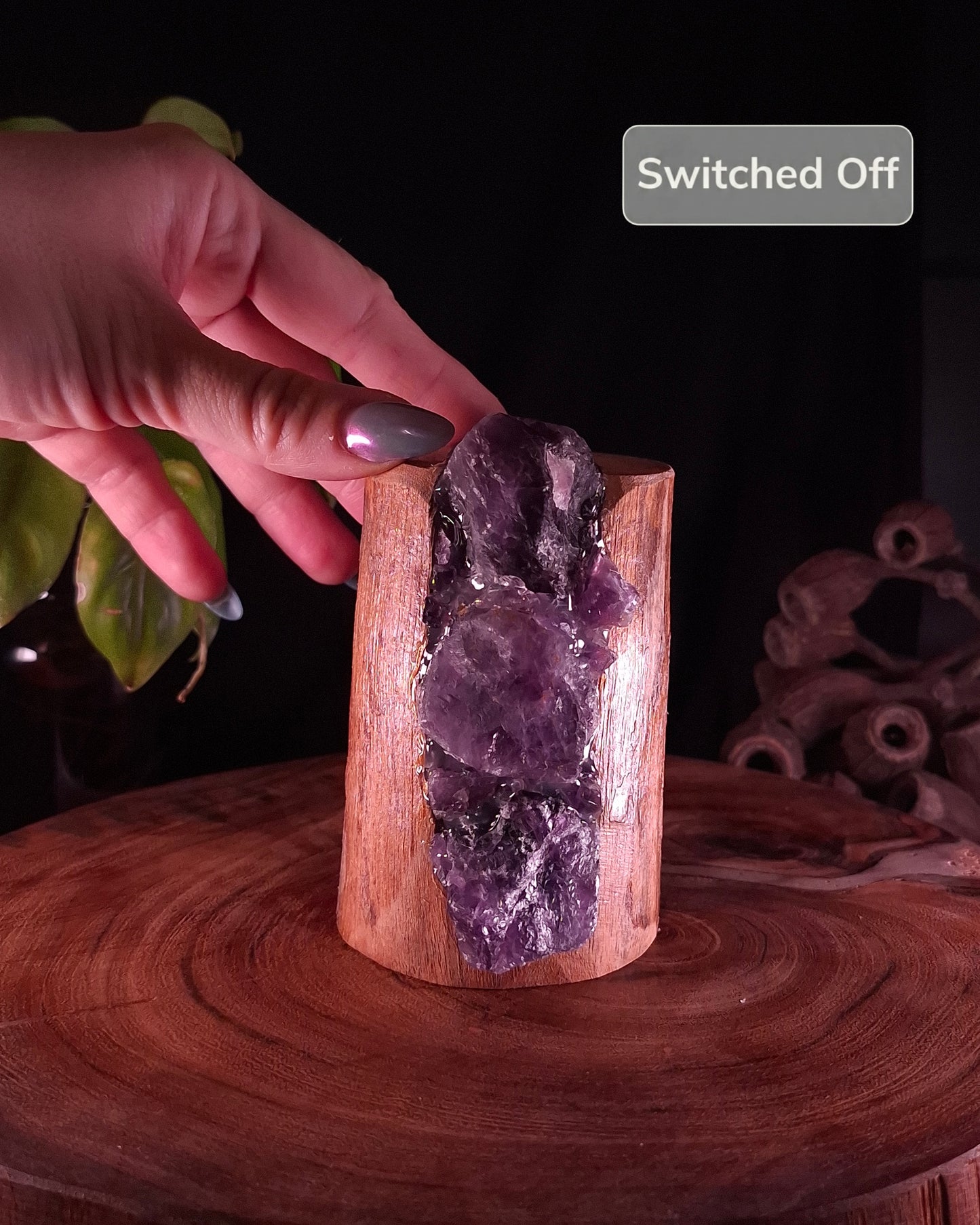 The Cyclone Fina Dark Amethyst Petit Upright Lamp
