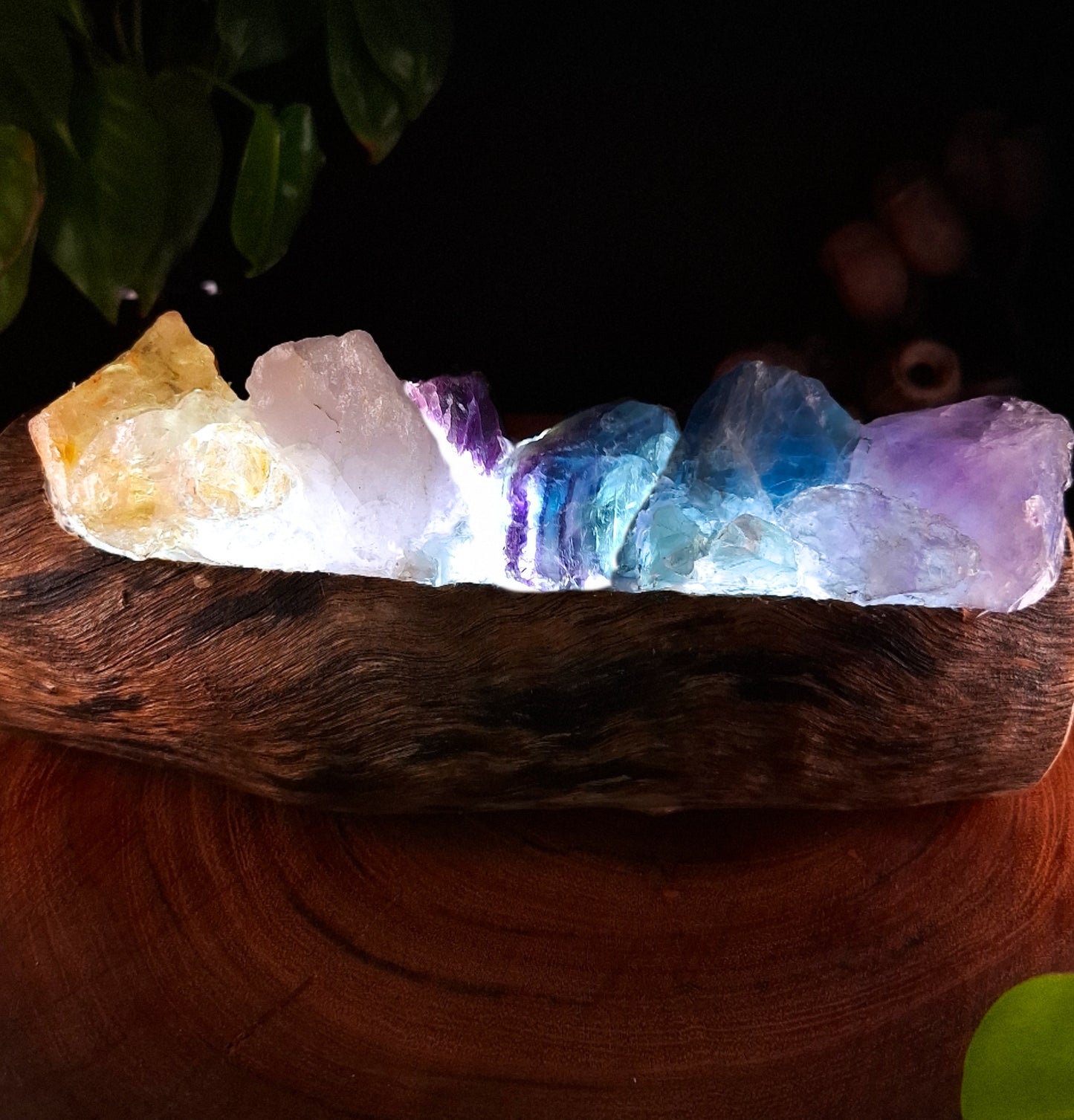 The Humpty Doo Banded Rainbow & Eucalyptus Lamp