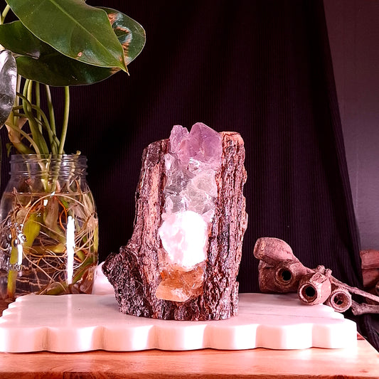 Small 4-Stone Crystal Lamp on Cyclone Fina Timber