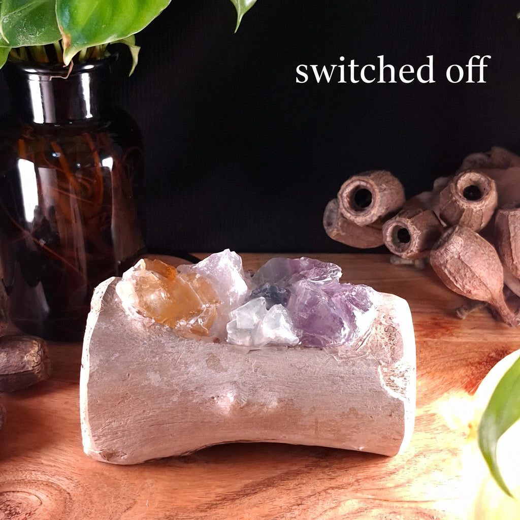 The Coastal Sunset Crystal Vessel – Mindil Beach Driftwood