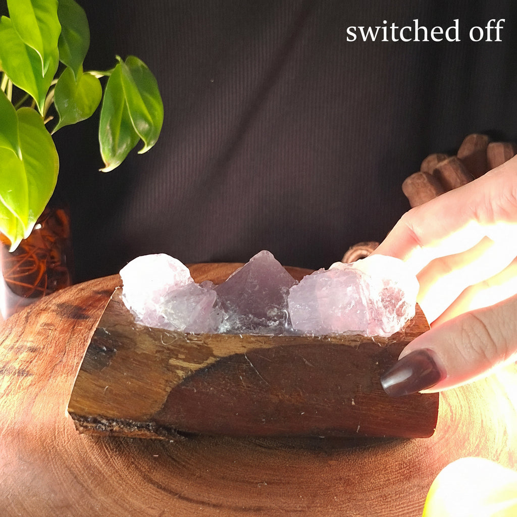 Raw Amethyst & Eucalyptus Artisan Crystal Lamp