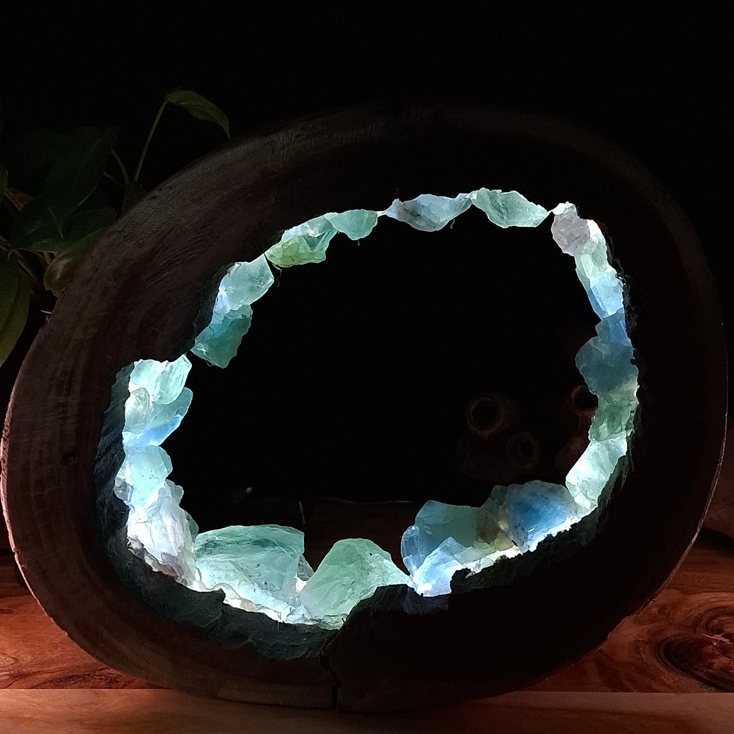 The Bushland Fluorite Geode Lamp – Authentic Hollowed Eucalyptus