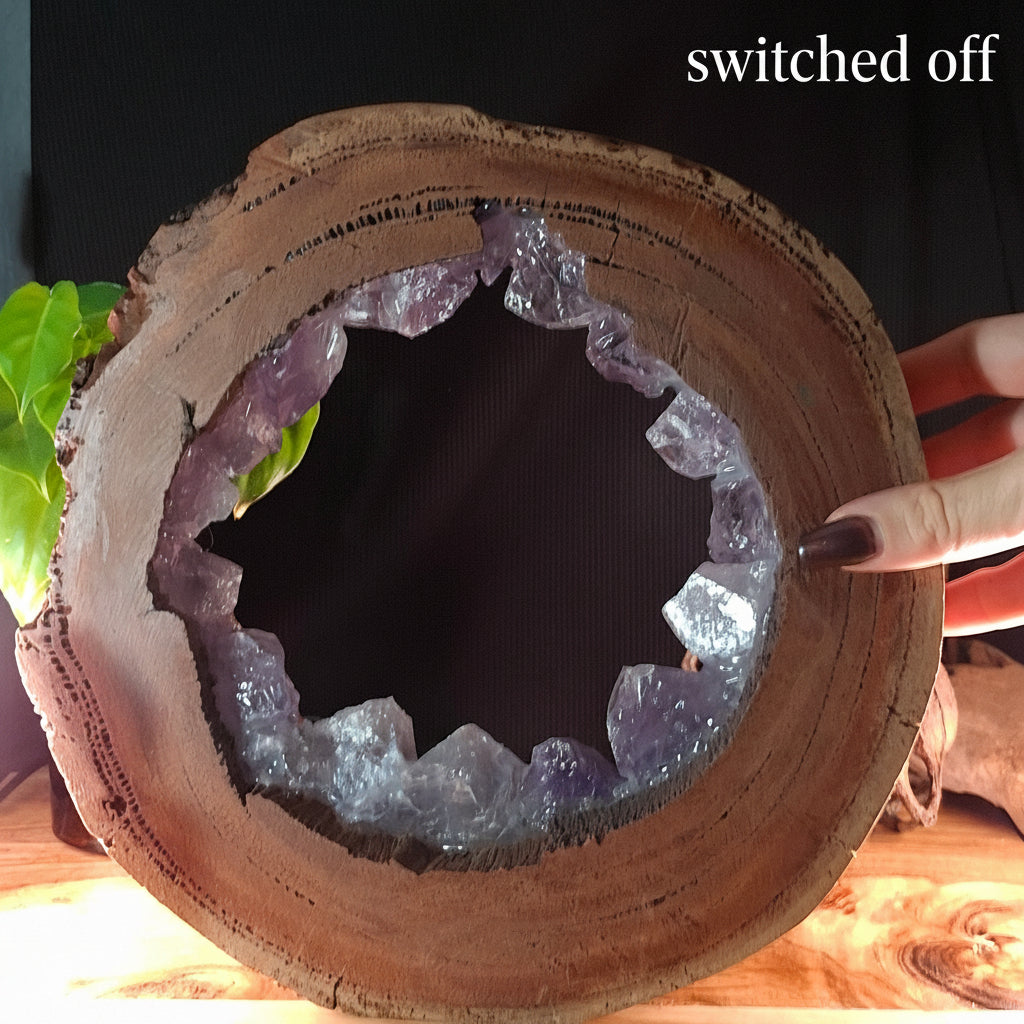 zThe Amethyst Portal Lamp – Termite-Hollowed Eucalyptus